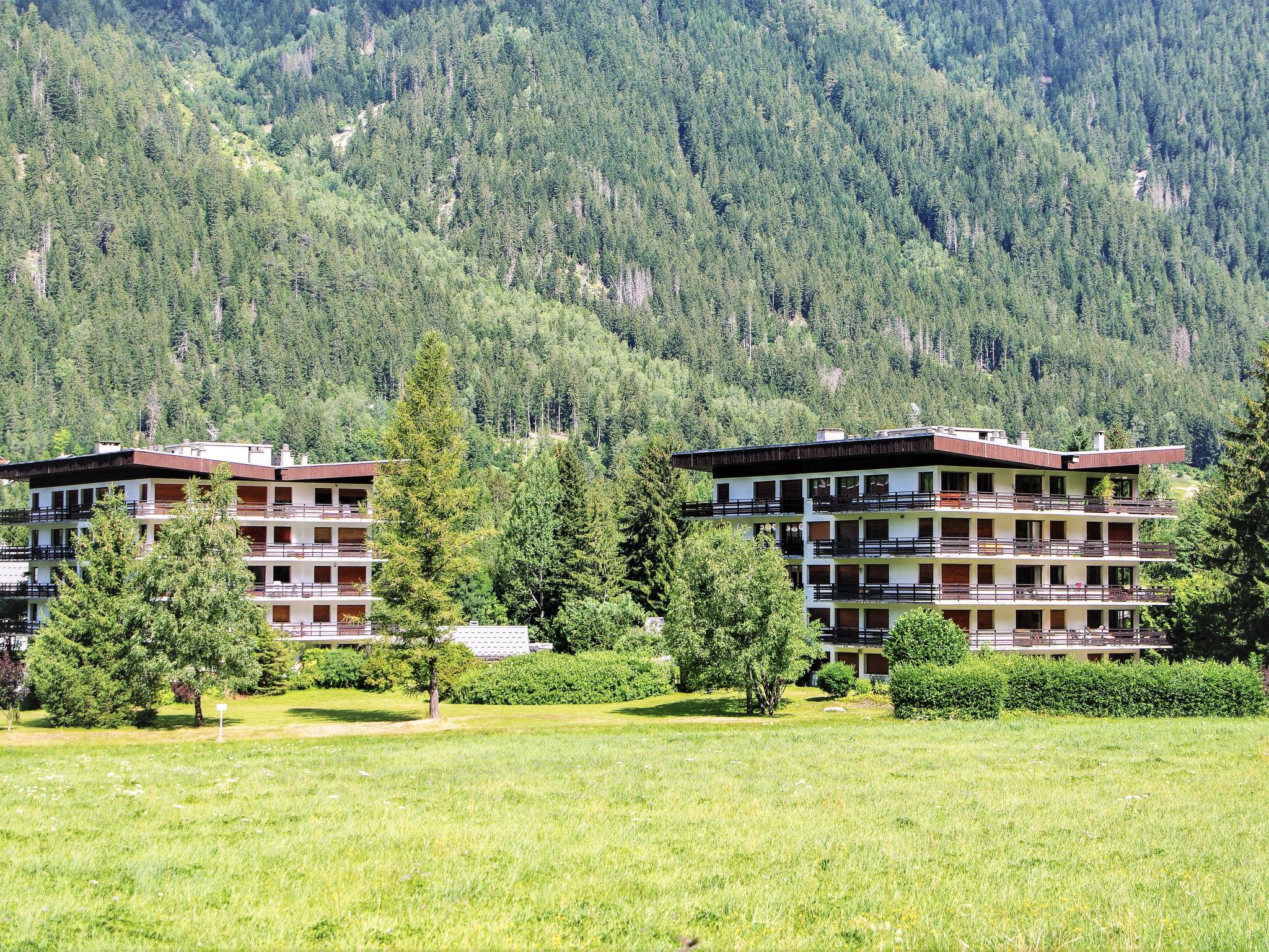 Foto 11 - Appartamento a Chamonix-Mont-Blanc con vista sulle montagne