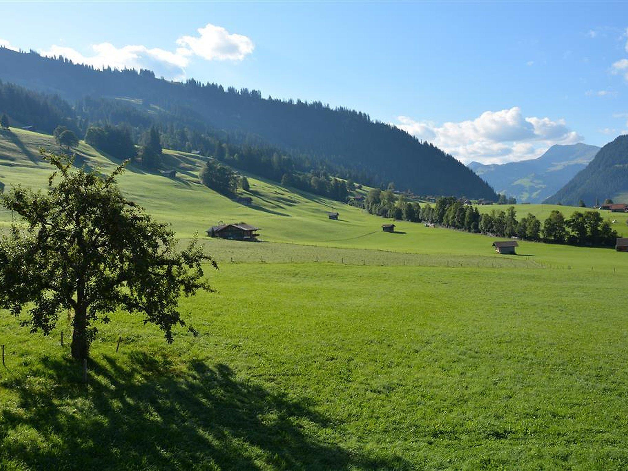 Photo 7 - 2 bedroom Apartment in Zweisimmen