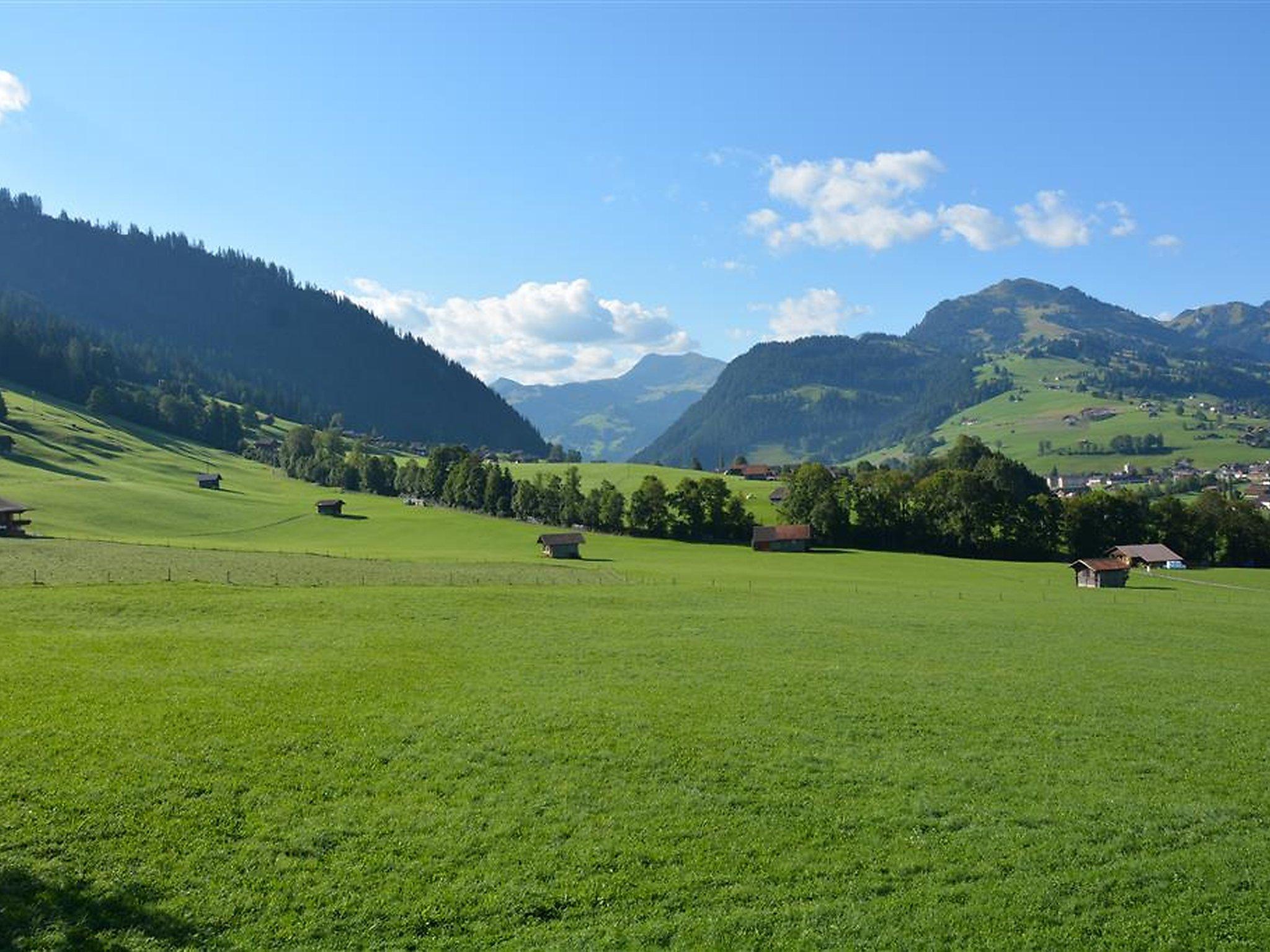 Foto 6 - Apartamento de 2 quartos em Zweisimmen