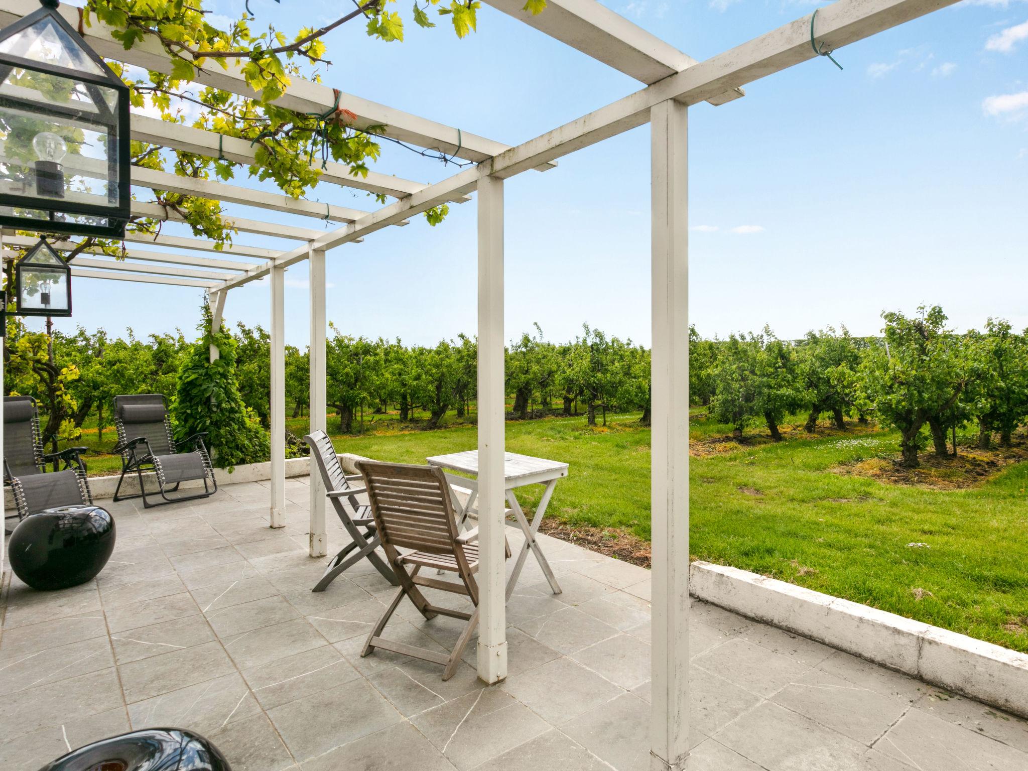 Photo 15 - Maison en Zaamslag avec jardin et terrasse