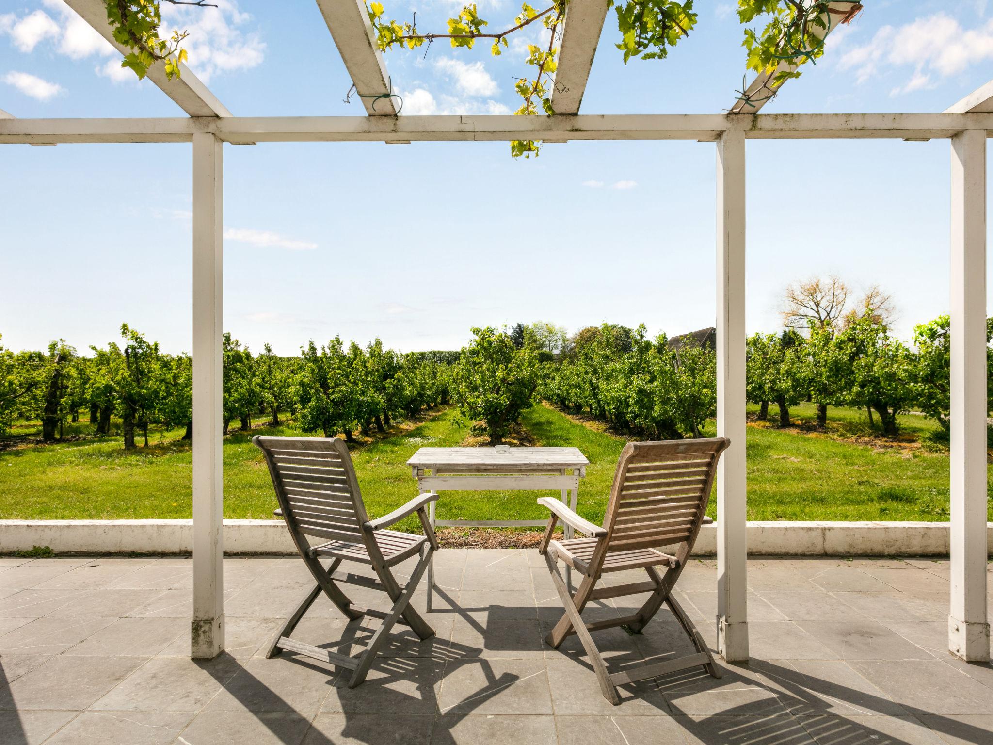 Photo 1 - Maison en Zaamslag avec jardin et terrasse