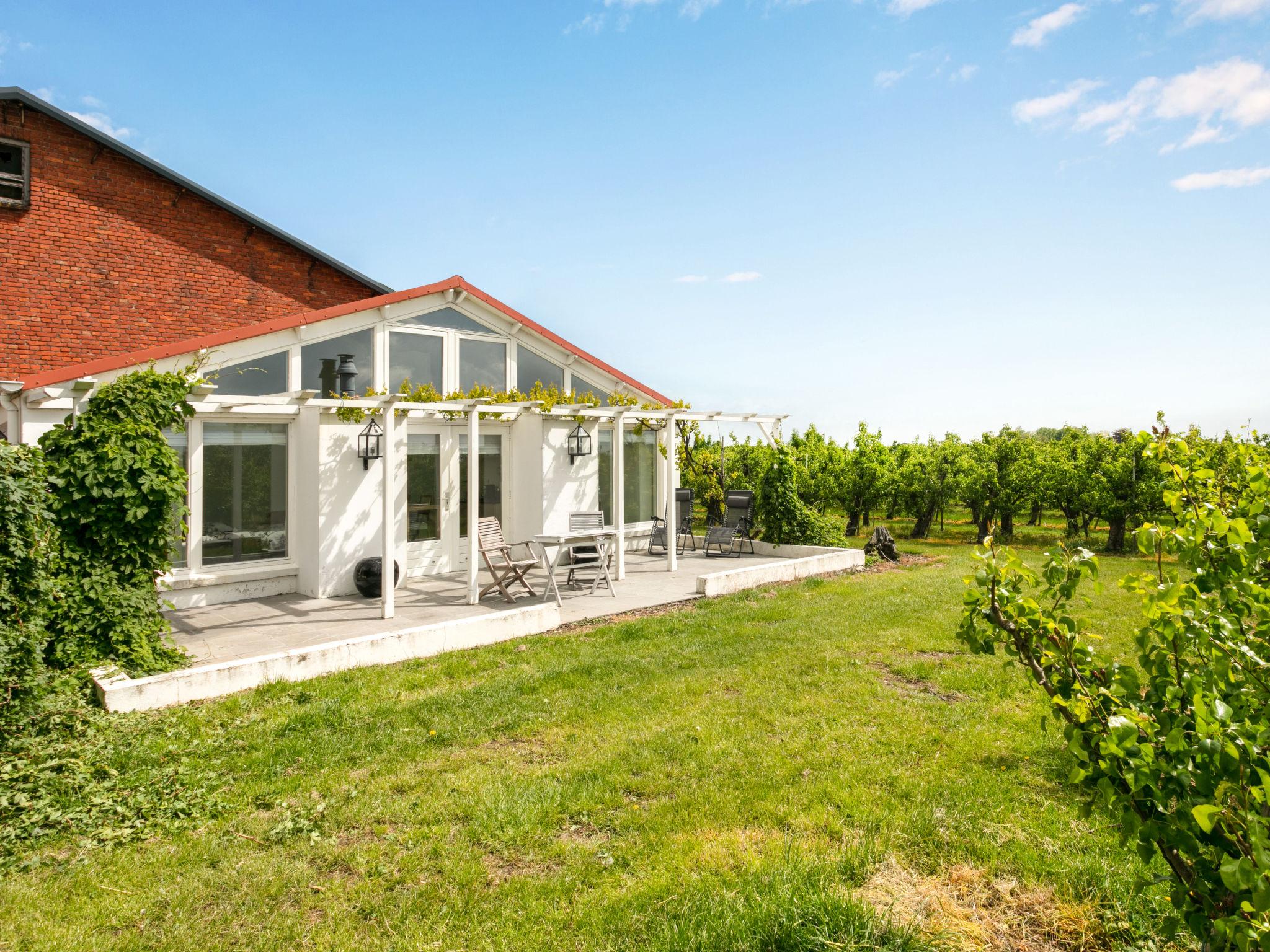 Photo 13 - Maison en Zaamslag avec jardin et terrasse