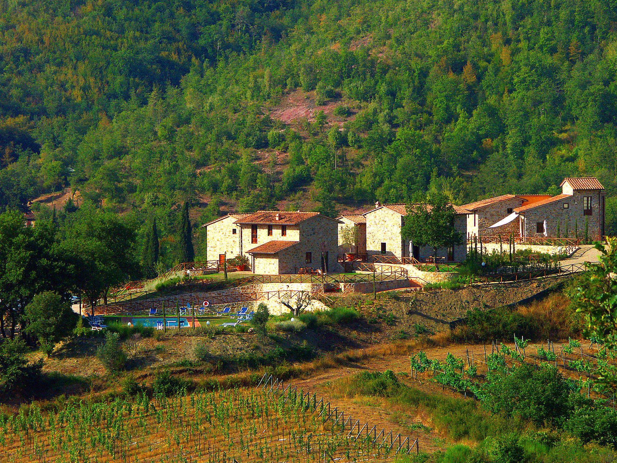 Foto 23 - Casa con 3 camere da letto a Greve in Chianti con piscina e giardino