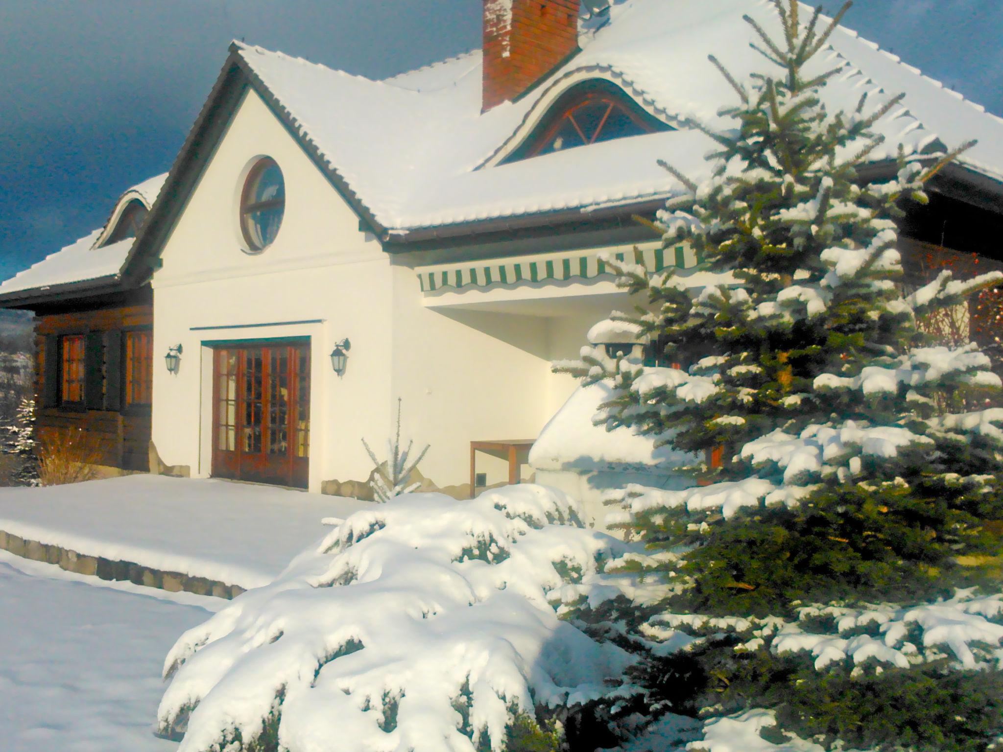 Foto 44 - Casa de 5 habitaciones en Gilowice con piscina privada y vistas a la montaña