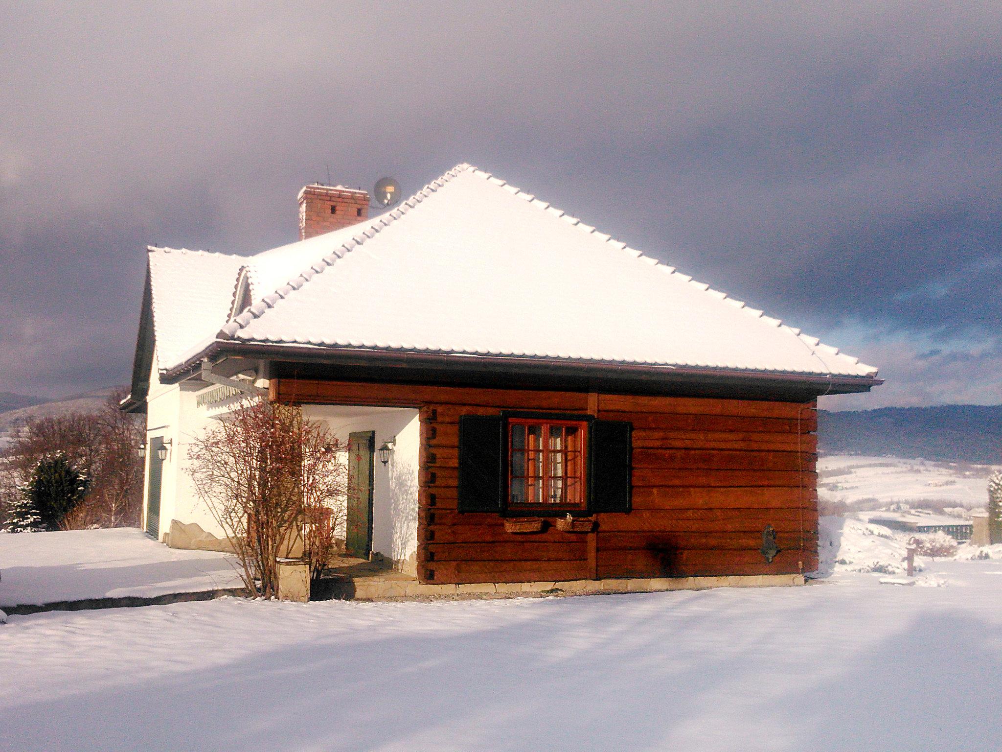 Foto 45 - Casa con 5 camere da letto a Gilowice con piscina privata e vista sulle montagne