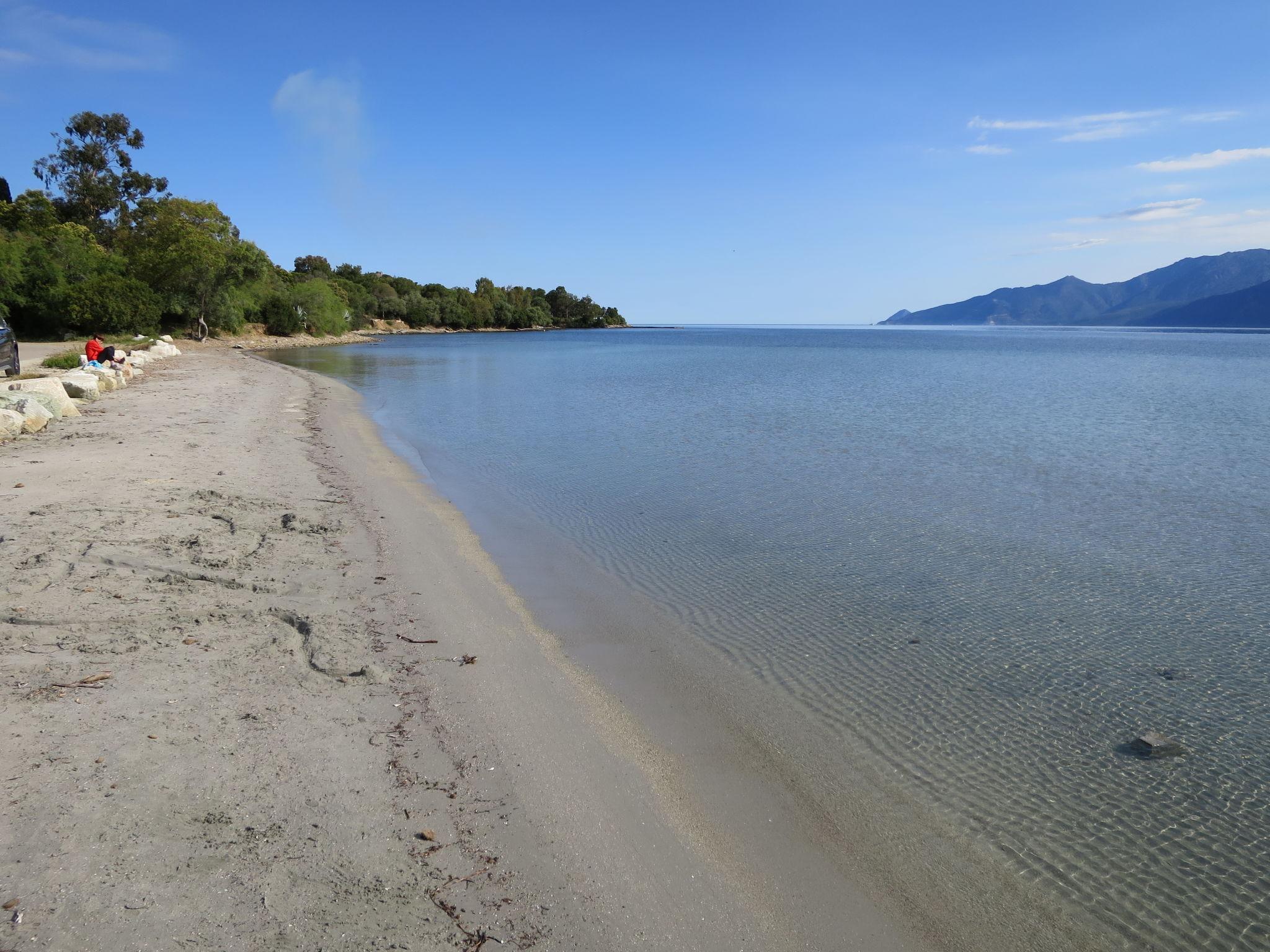 Foto 12 - Appartamento con 2 camere da letto a Saint-Florent con piscina e vista mare