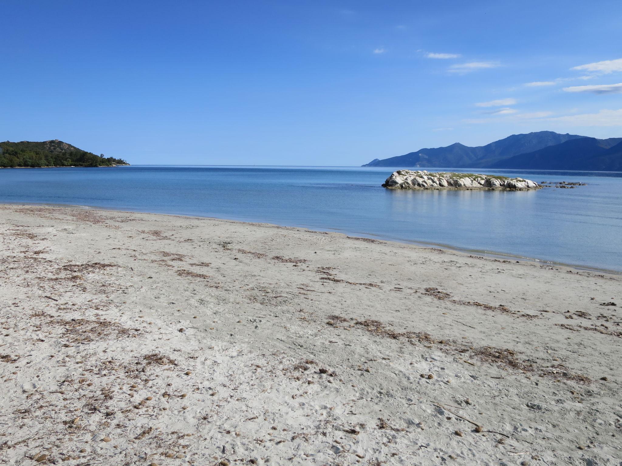 Foto 12 - Apartment mit 1 Schlafzimmer in Saint-Florent mit schwimmbad und blick aufs meer