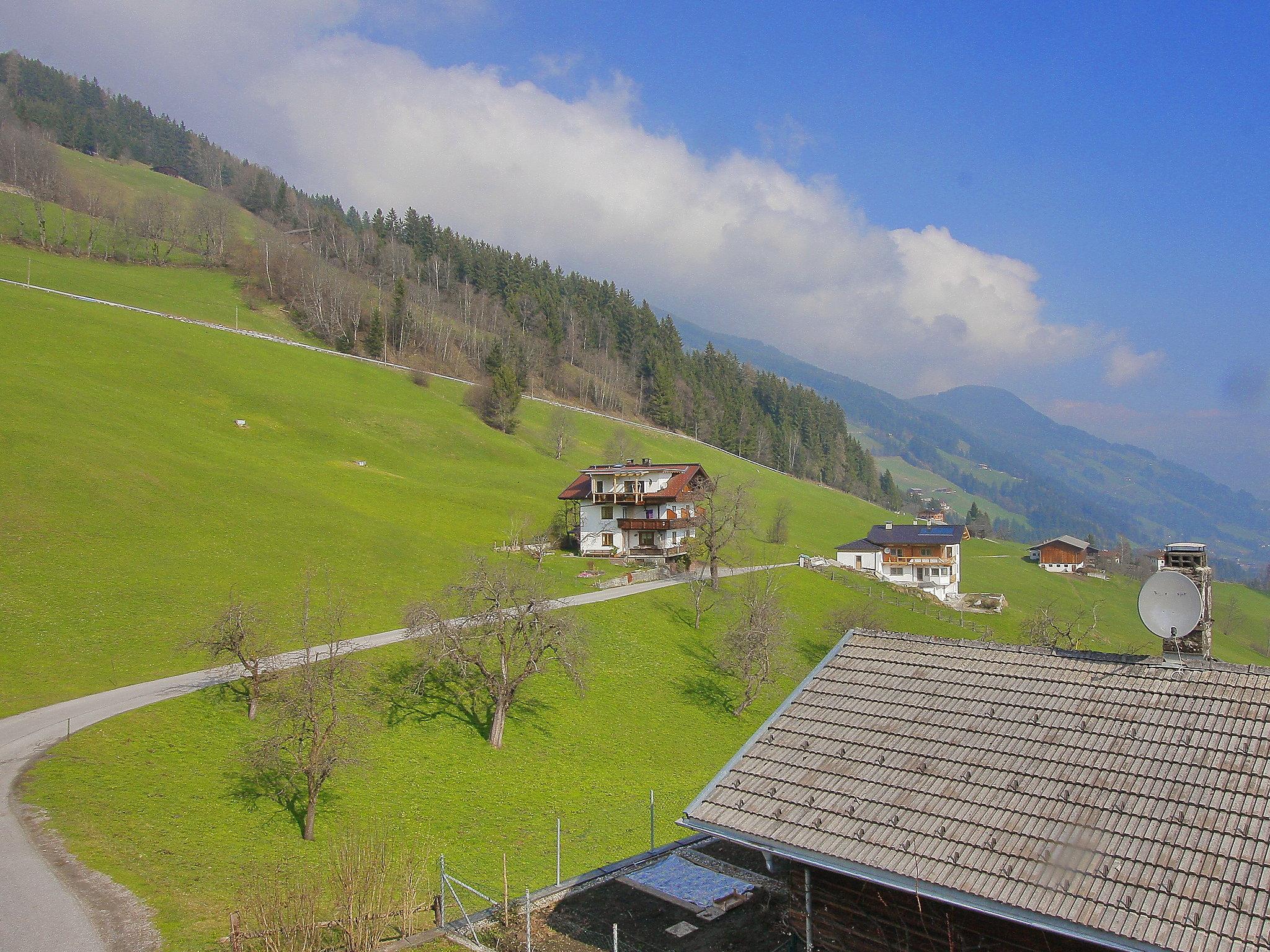 Photo 13 - 4 bedroom Apartment in Fügenberg with garden and mountain view