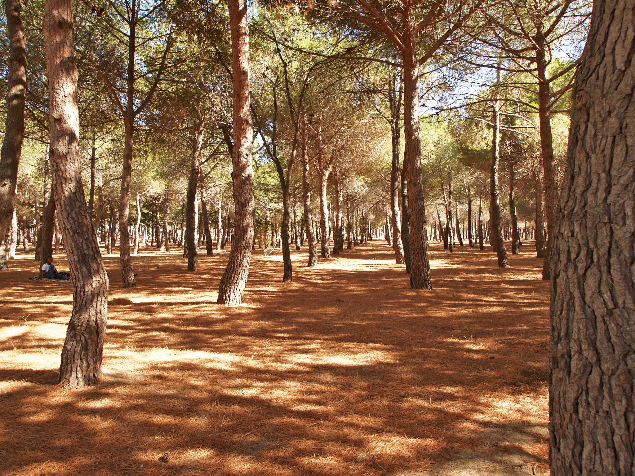 Foto 14 - Apartamento de 2 quartos em Argelès-sur-Mer com piscina e jardim