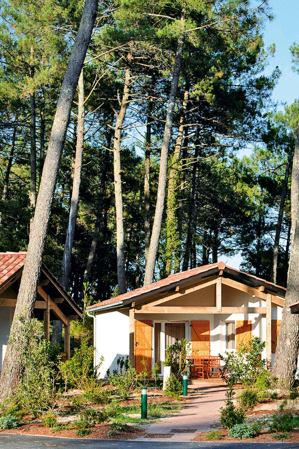 Photo 17 - Maison de 3 chambres à Ondres avec piscine et vues à la mer