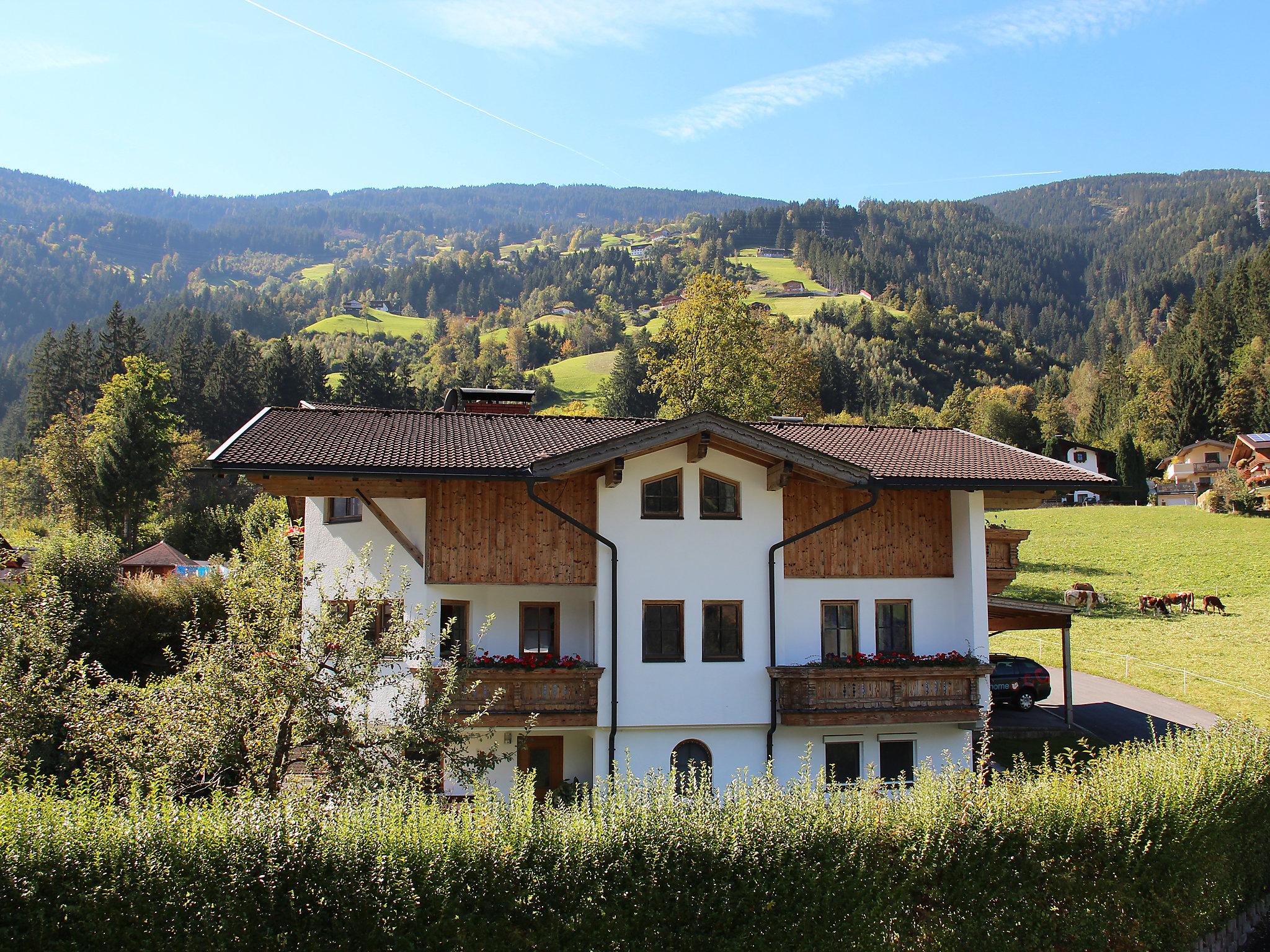 Foto 19 - Appartamento con 2 camere da letto a Aschau im Zillertal con vista sulle montagne