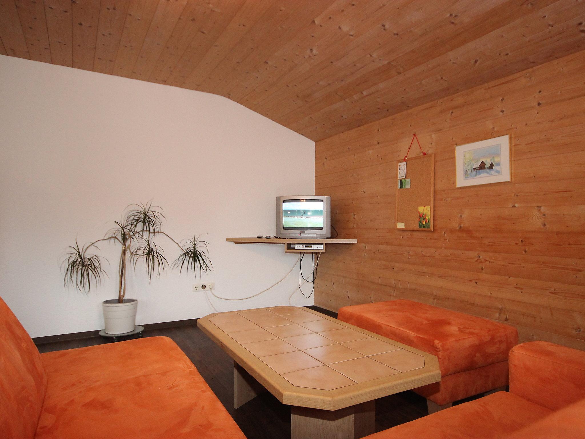 Foto 10 - Appartamento con 2 camere da letto a Aschau im Zillertal con vista sulle montagne