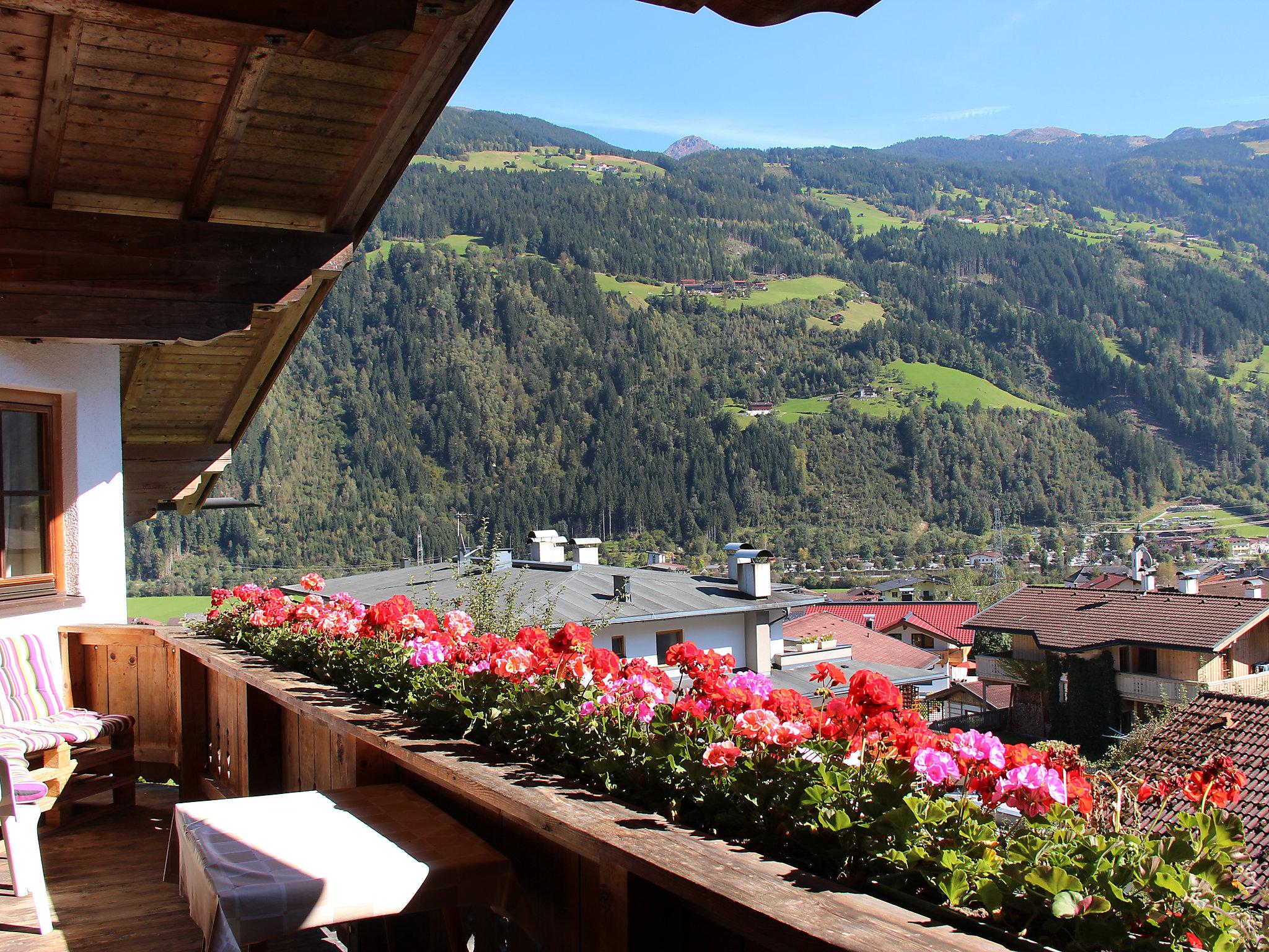 Foto 5 - Apartamento de 2 habitaciones en Aschau im Zillertal con vistas a la montaña