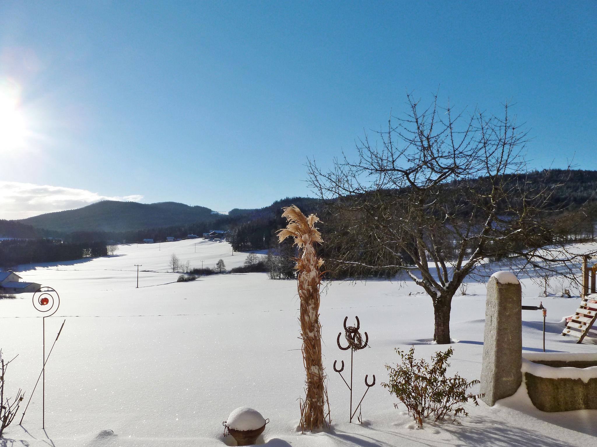 Photo 22 - Appartement de 2 chambres à Zachenberg avec jardin et vues sur la montagne