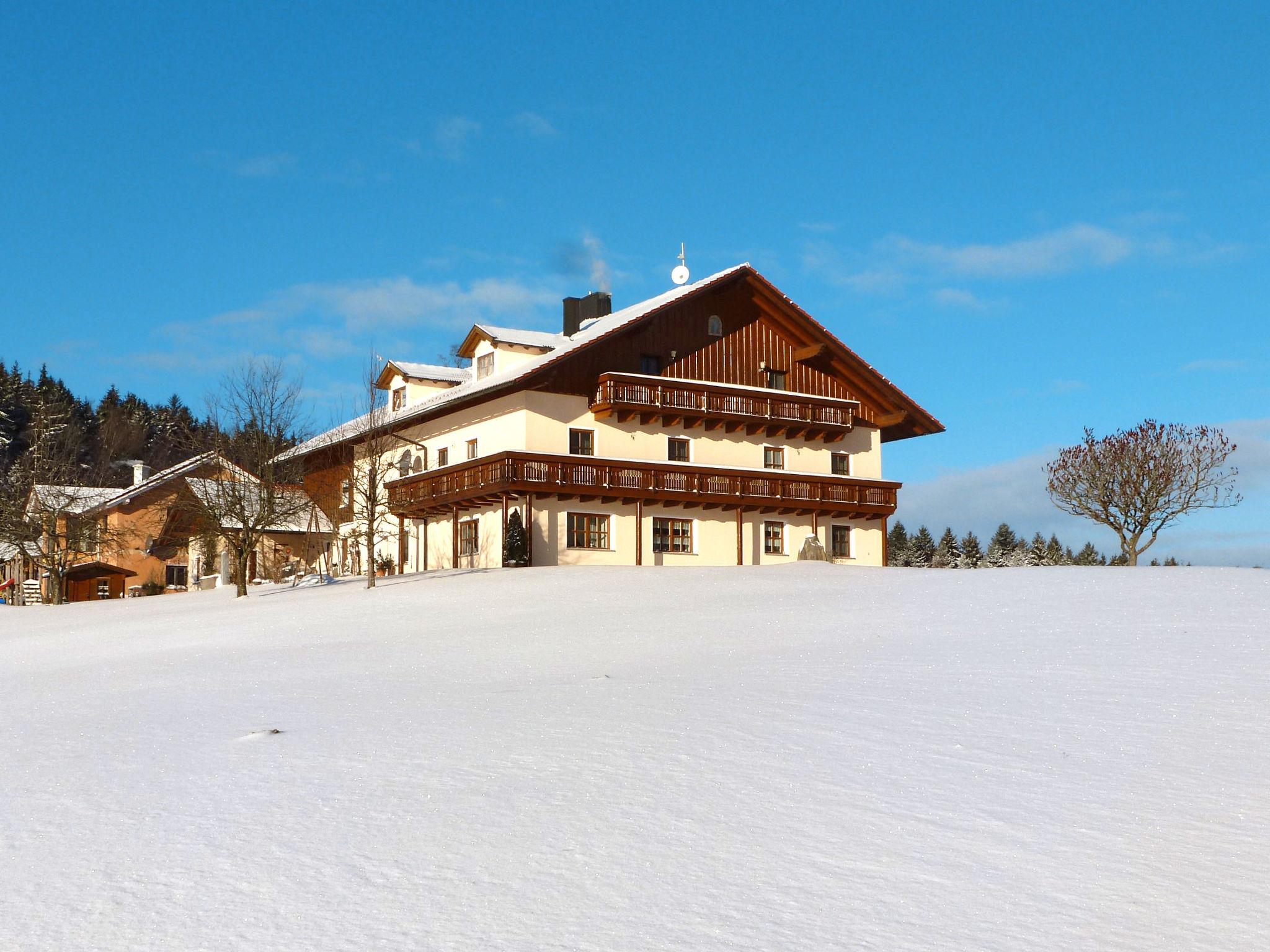 Photo 23 - Appartement de 1 chambre à Zachenberg avec jardin et vues sur la montagne