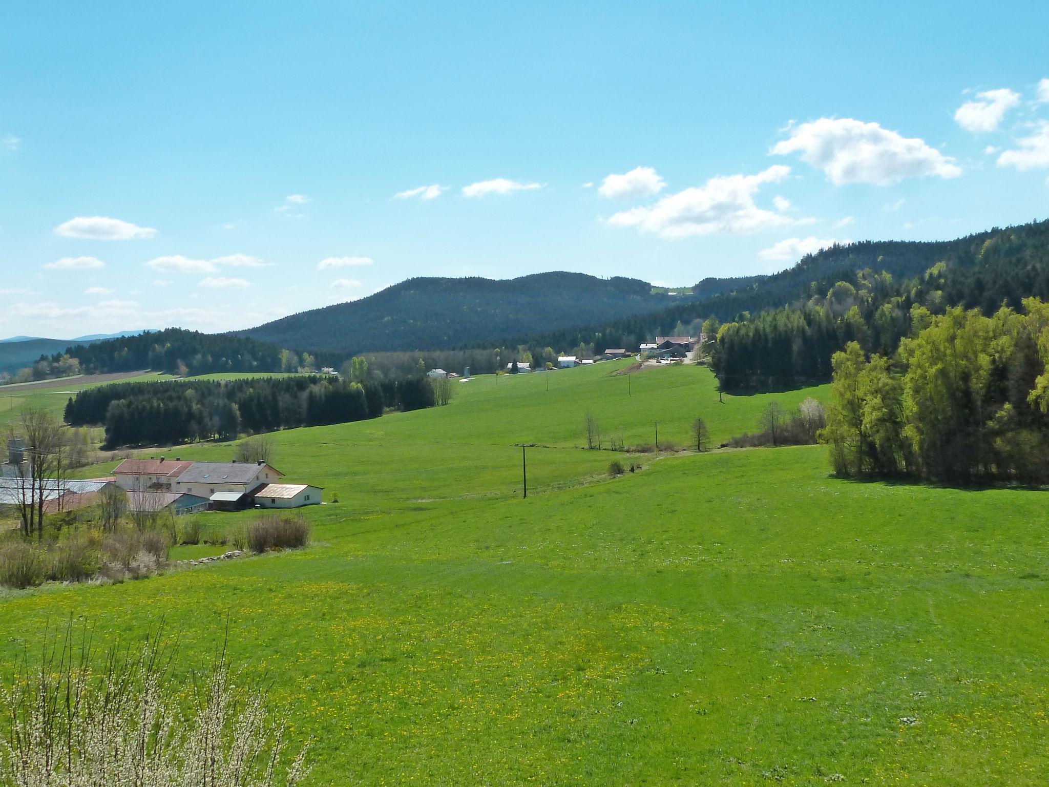 Photo 6 - 1 bedroom Apartment in Zachenberg with garden and mountain view