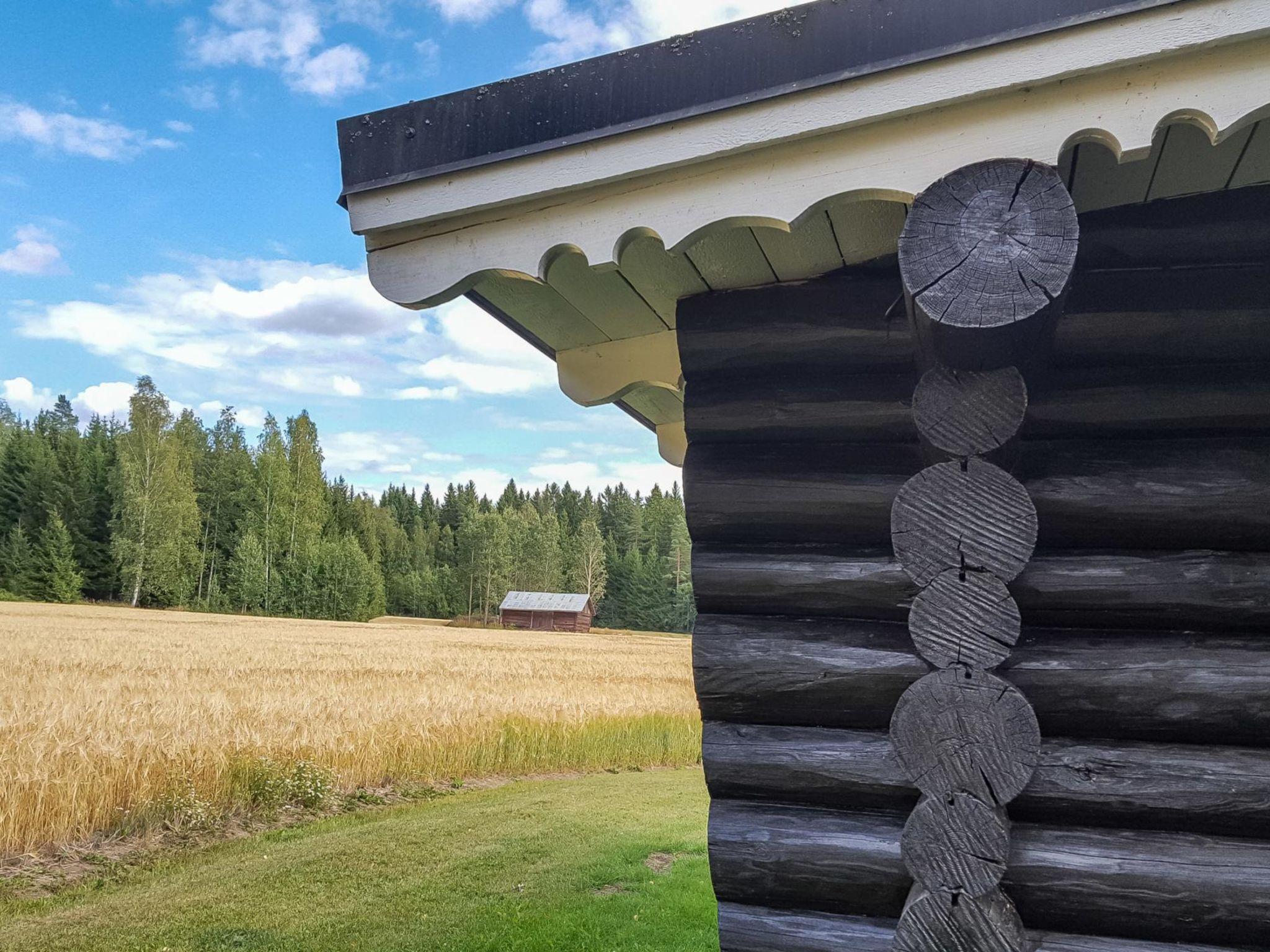 Photo 8 - Maison de 1 chambre à Tammela avec sauna