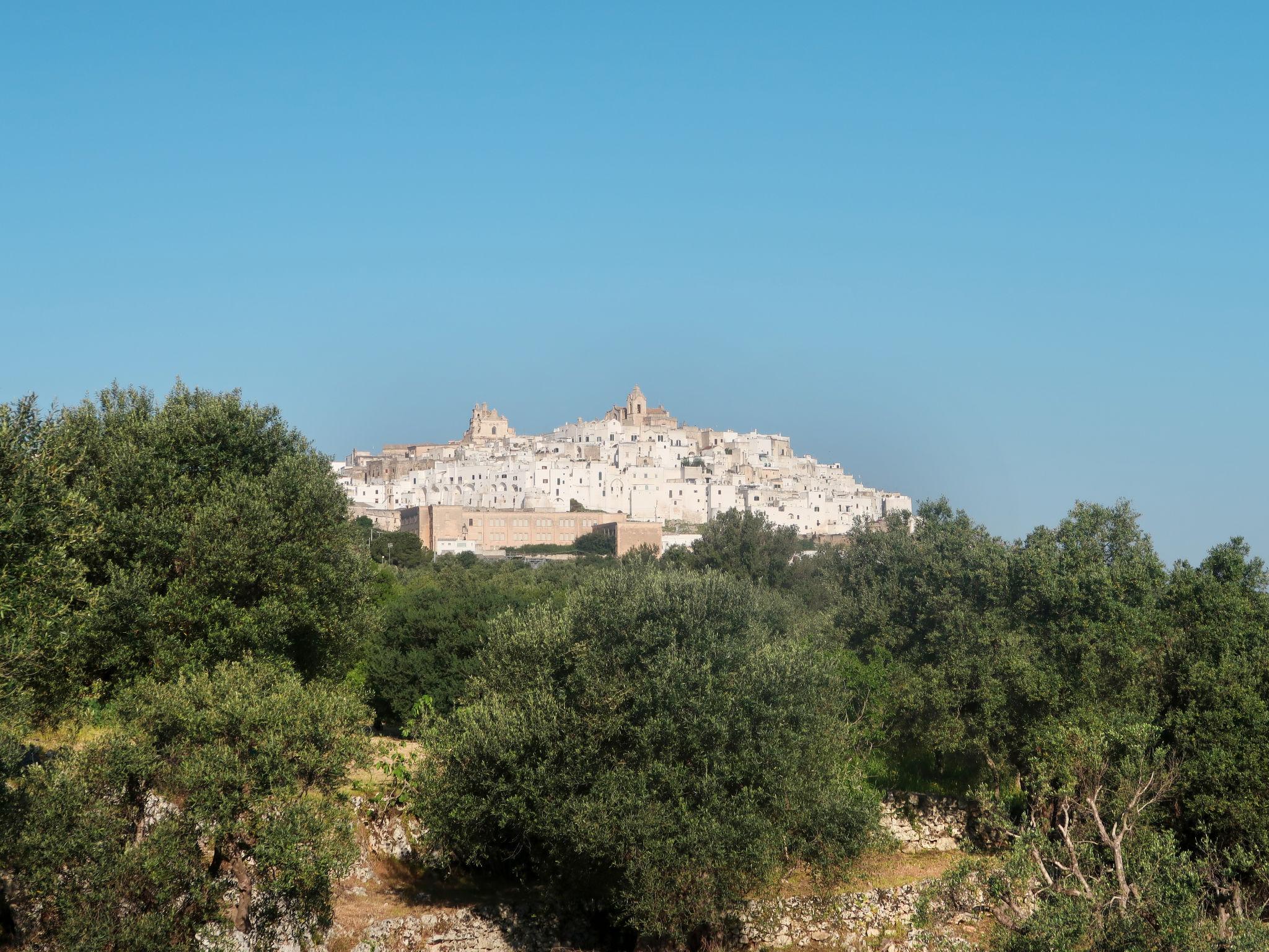 Foto 20 - Casa de 2 quartos em Martina Franca com jardim e vistas do mar