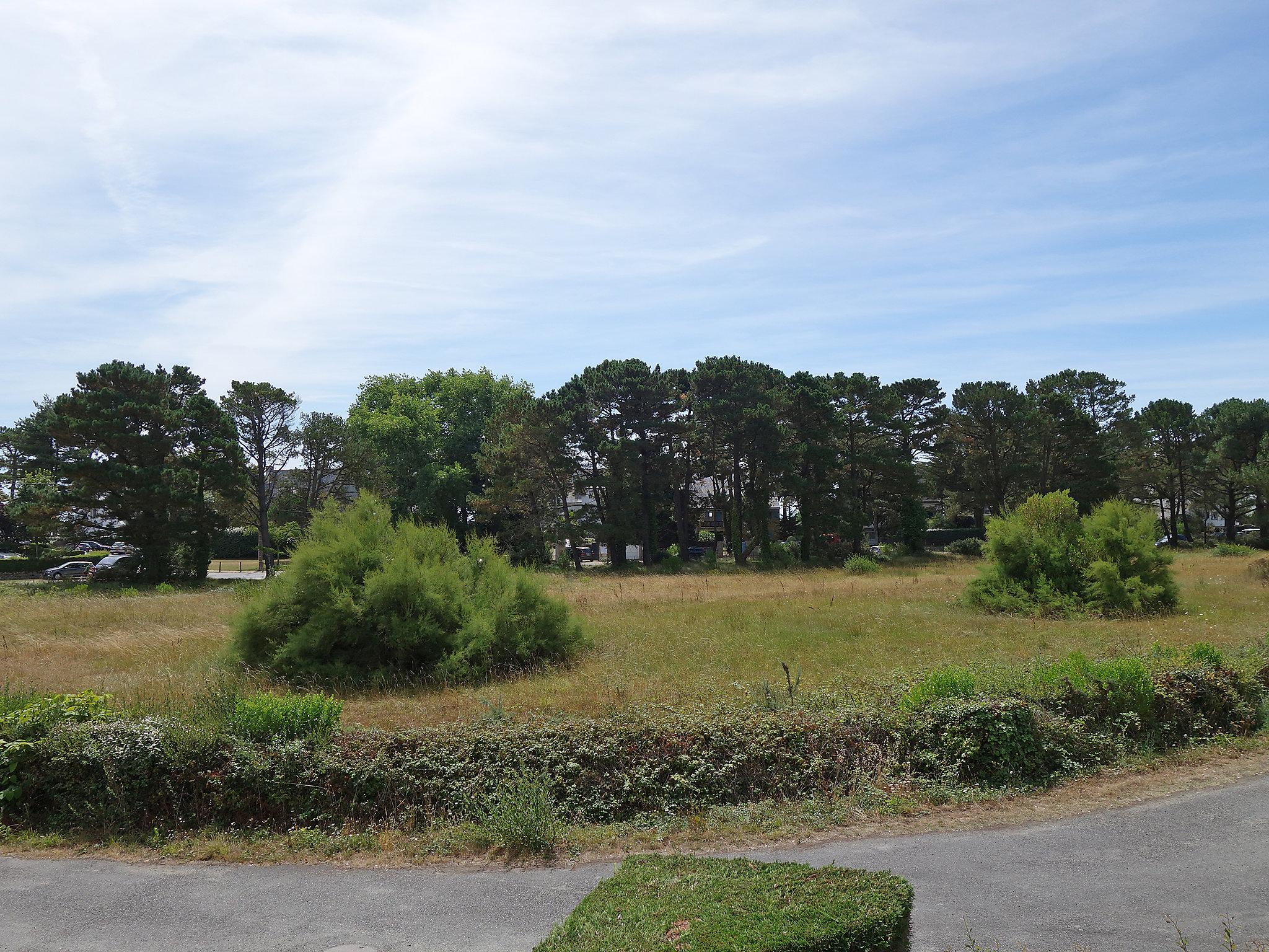 Photo 18 - 2 bedroom Apartment in Carnac with sea view