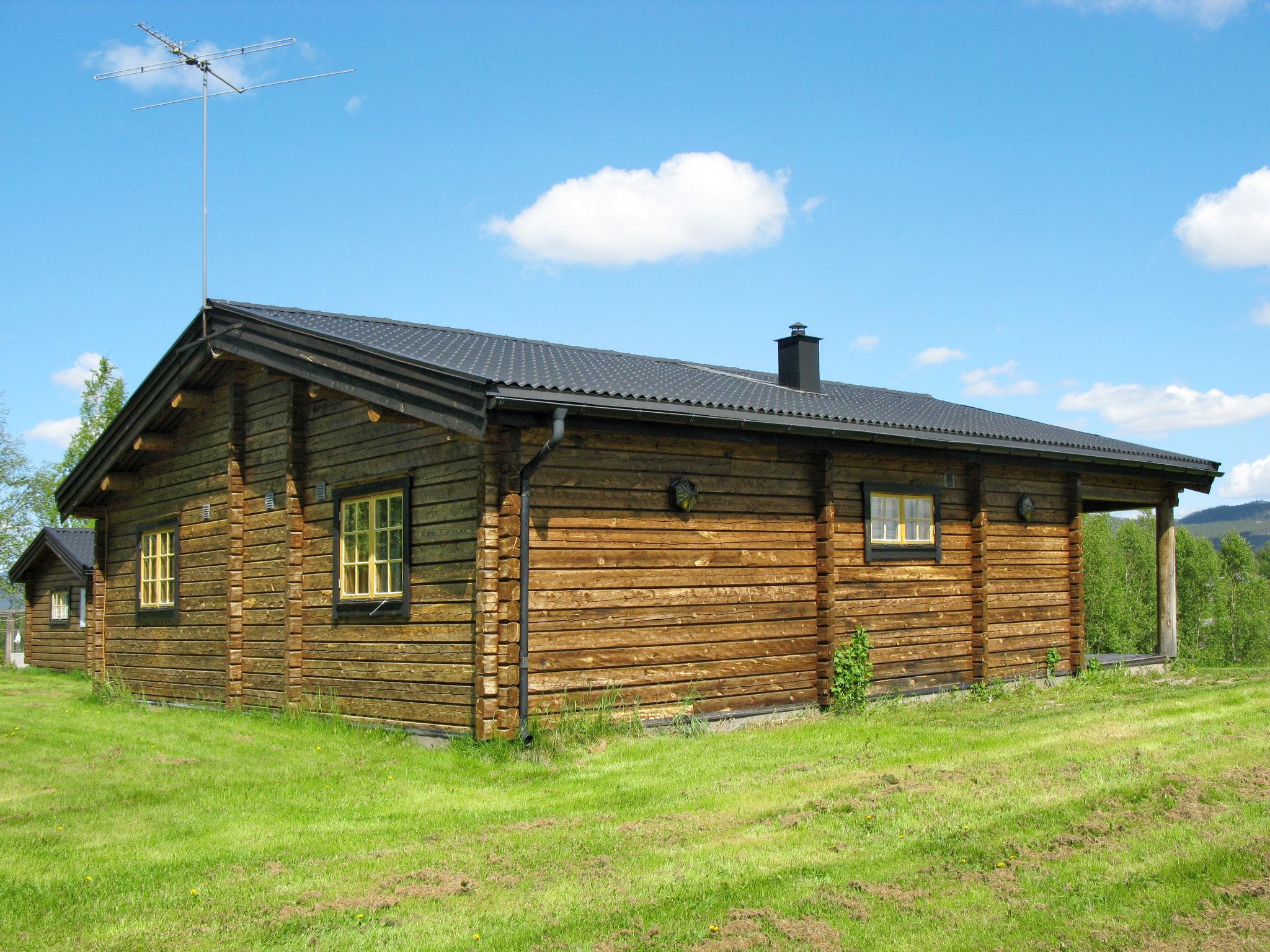 Foto 10 - Casa con 2 camere da letto a Vemhån con giardino