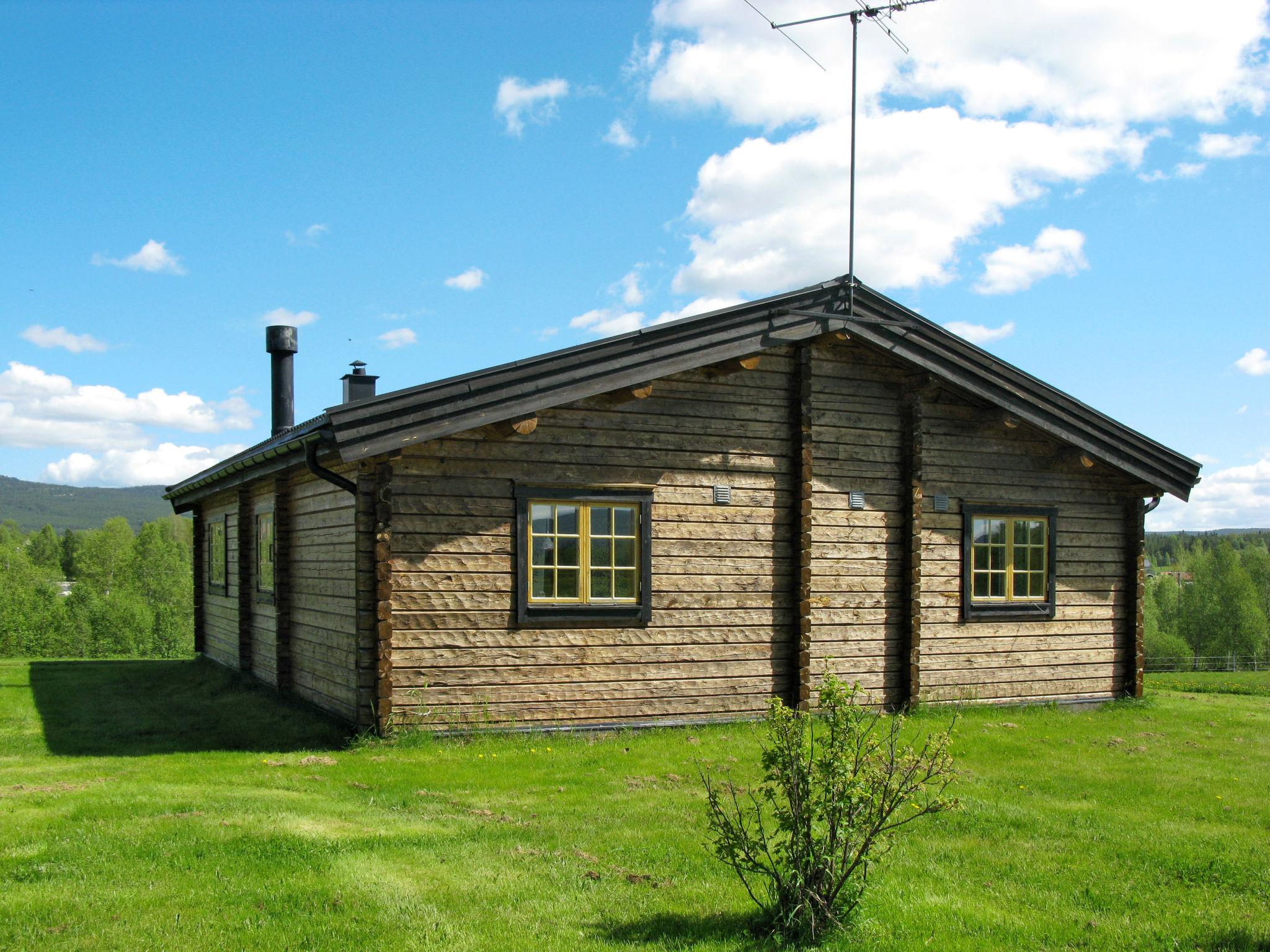 Photo 1 - Maison de 2 chambres à Vemhån avec jardin