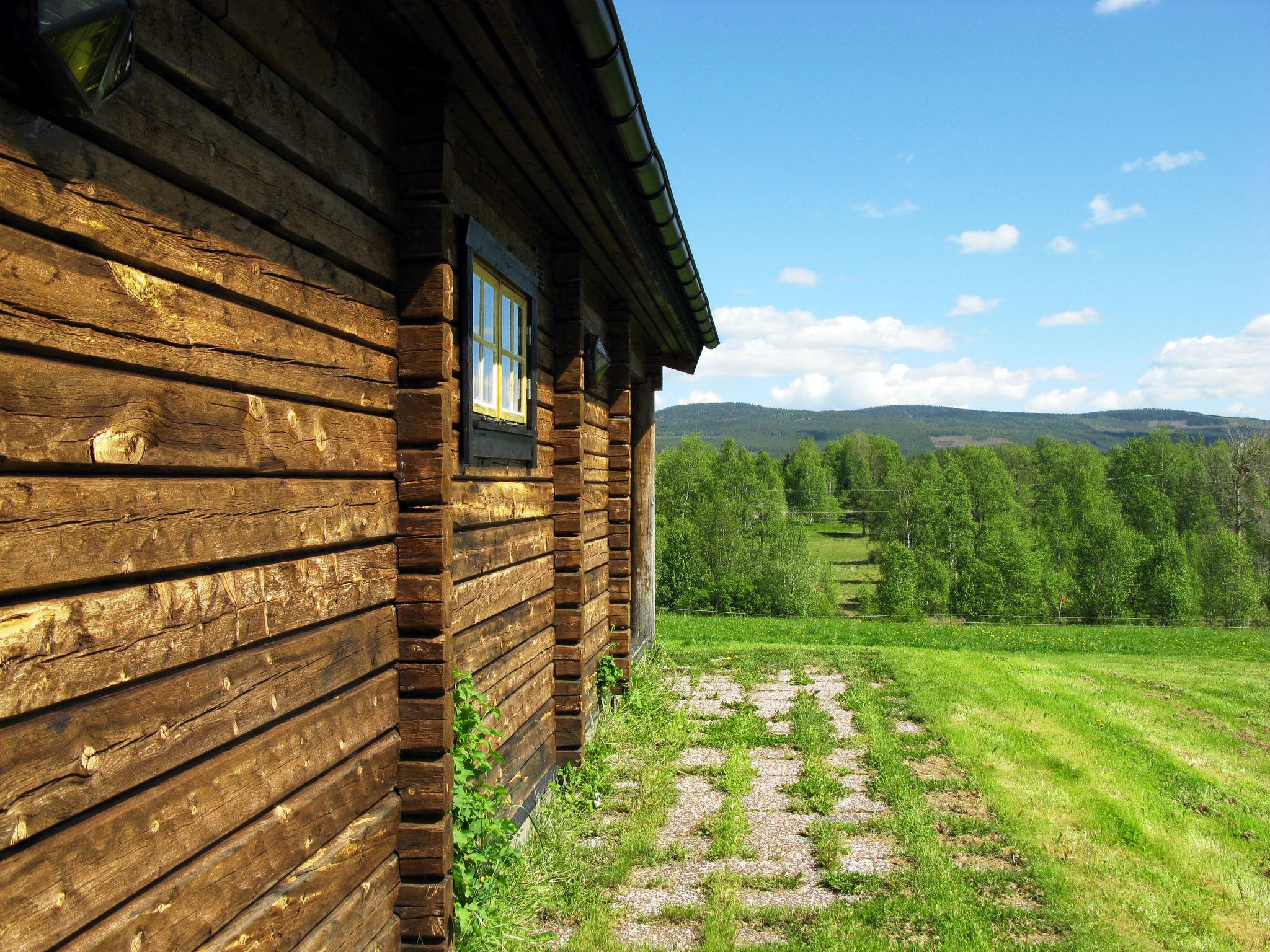 Foto 6 - Casa de 2 quartos em Vemhån com jardim