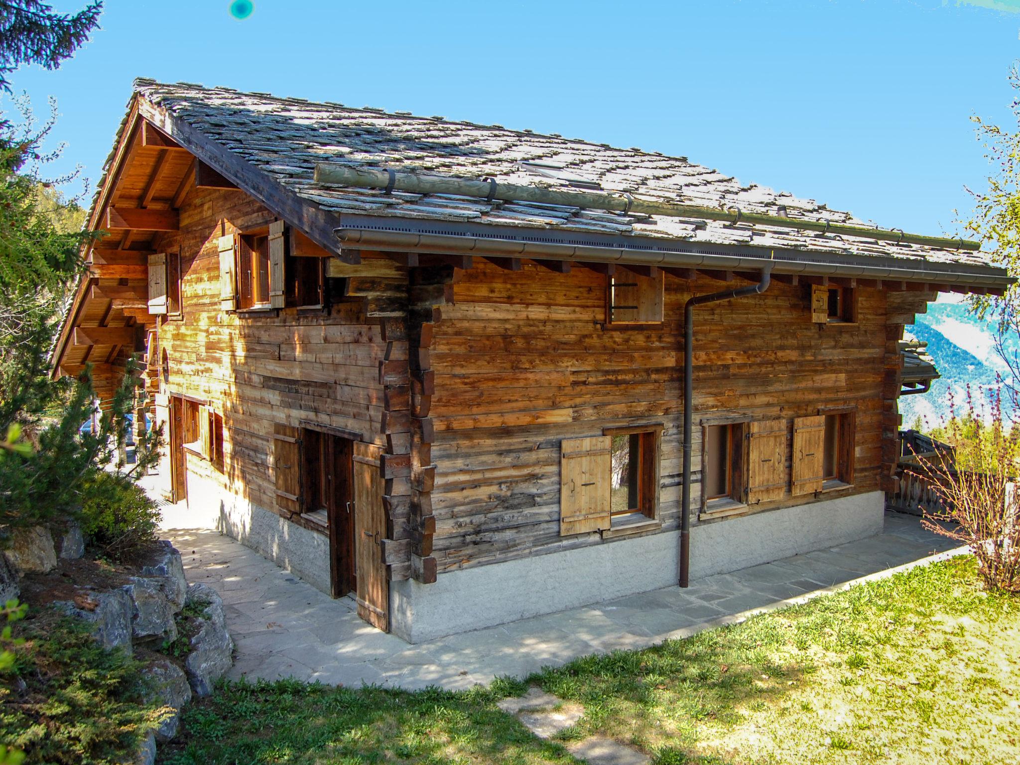 Foto 67 - Casa de 3 quartos em Nendaz com jardim e terraço