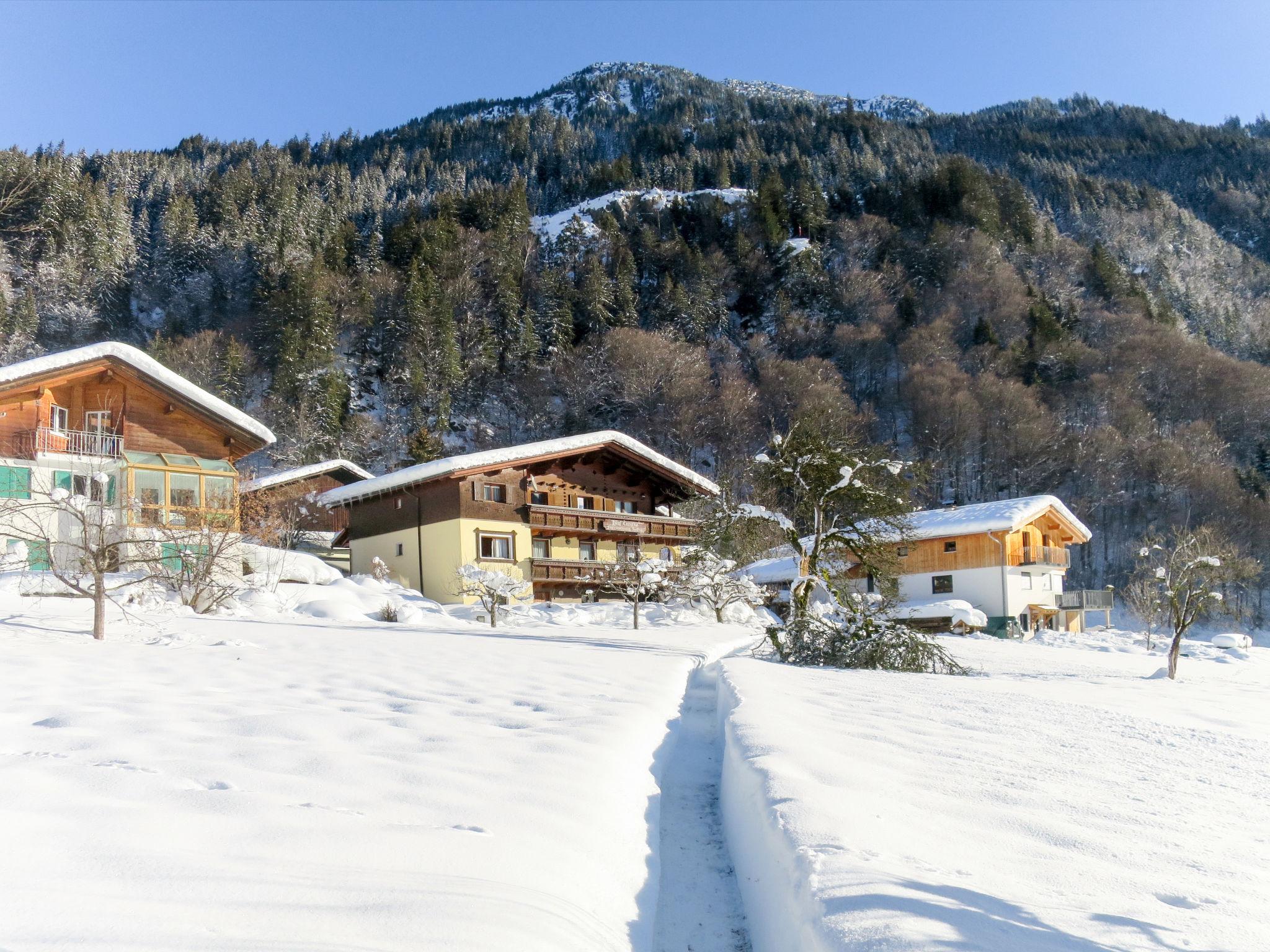 Foto 1 - Appartamento con 3 camere da letto a Sankt Gallenkirch con vista sulle montagne