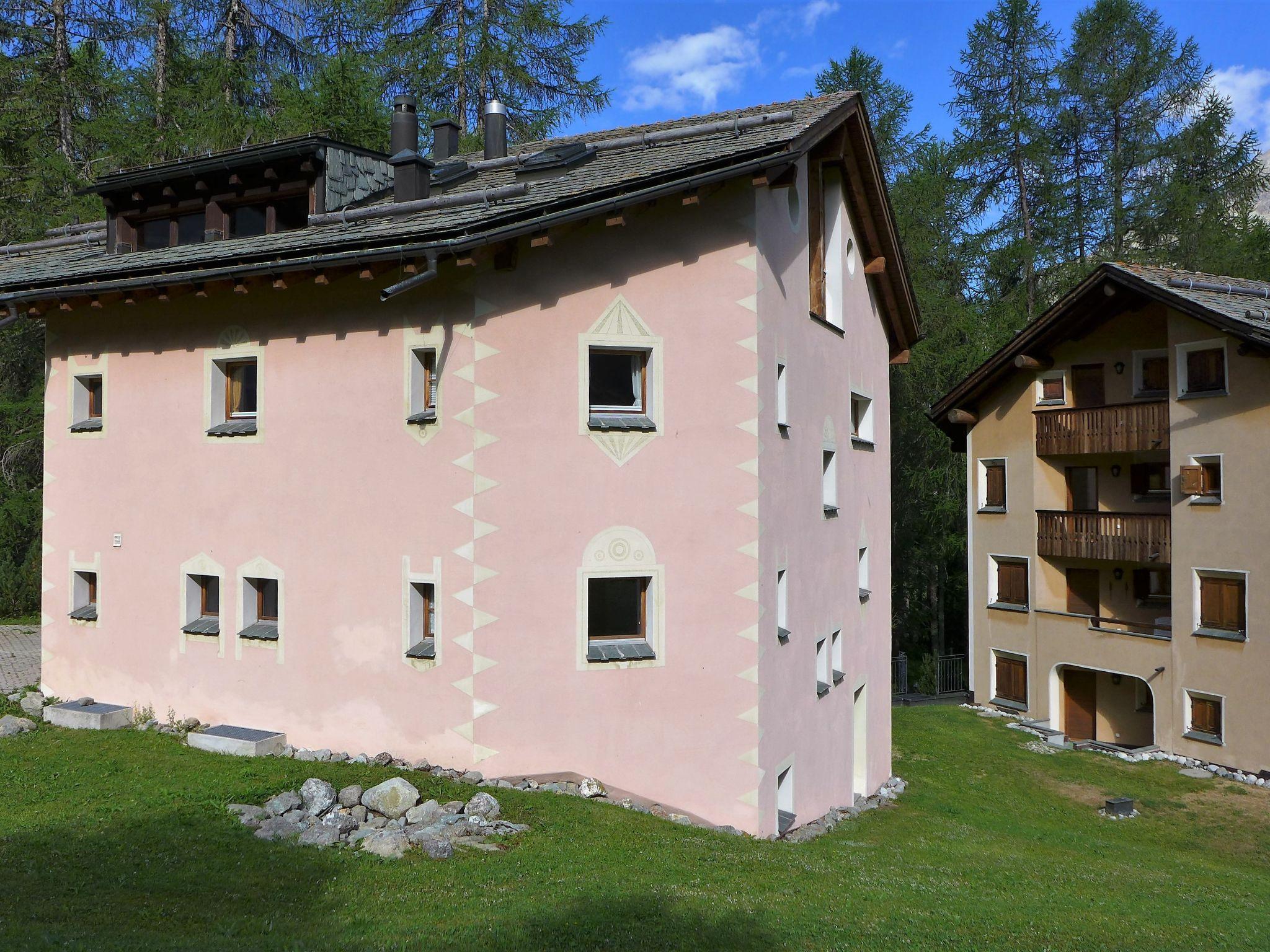 Foto 20 - Apartamento de 2 quartos em Silvaplana com jardim e terraço