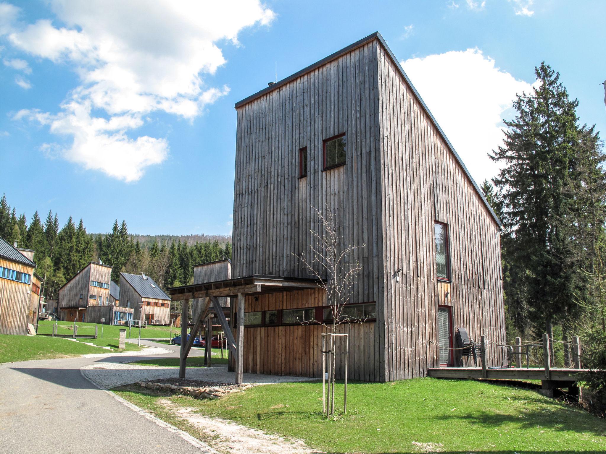 Photo 1 - Maison de 5 chambres à Harrachov avec jardin et terrasse