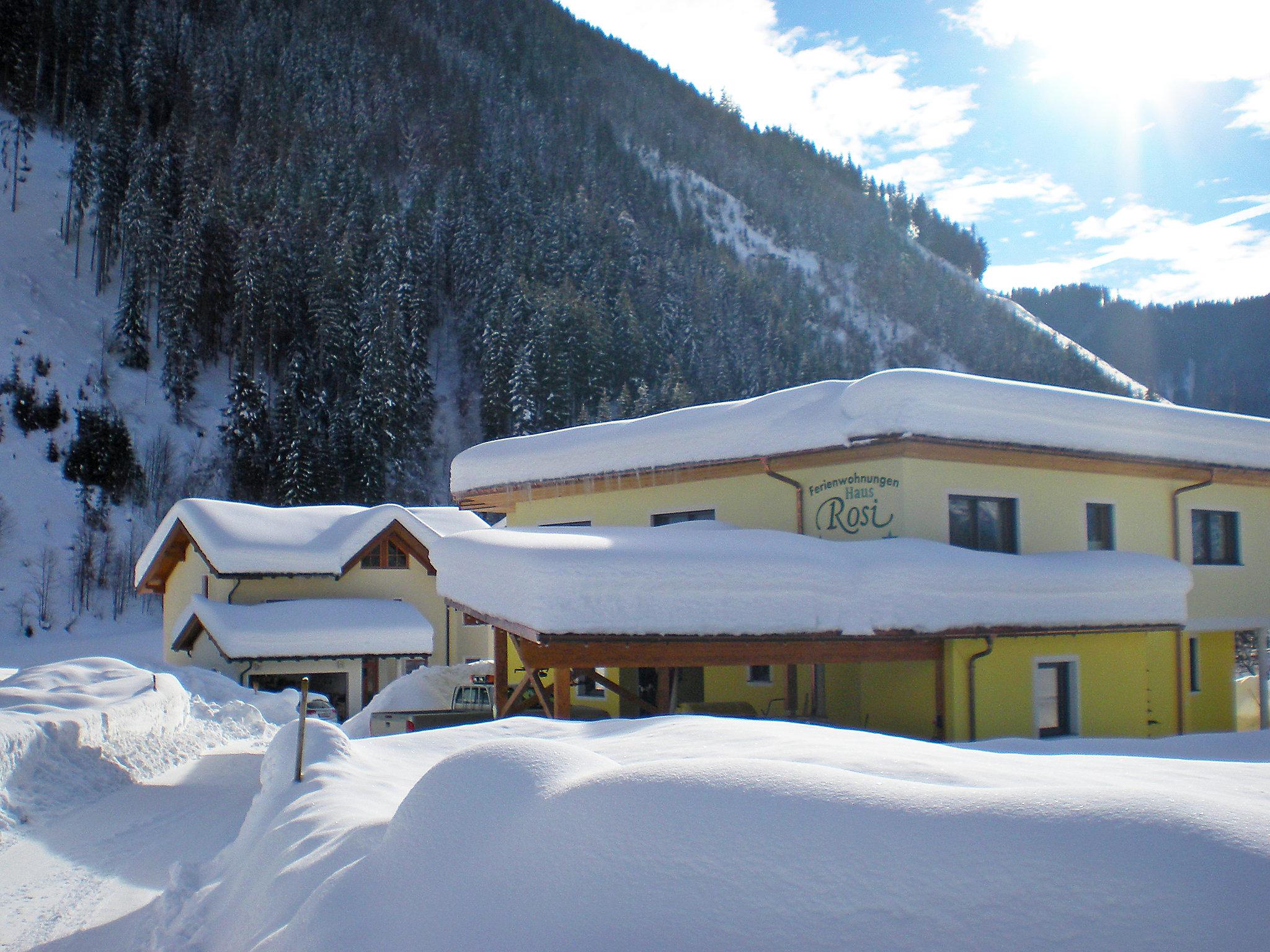 Photo 22 - Appartement de 2 chambres à Werfenweng avec jardin et vues sur la montagne