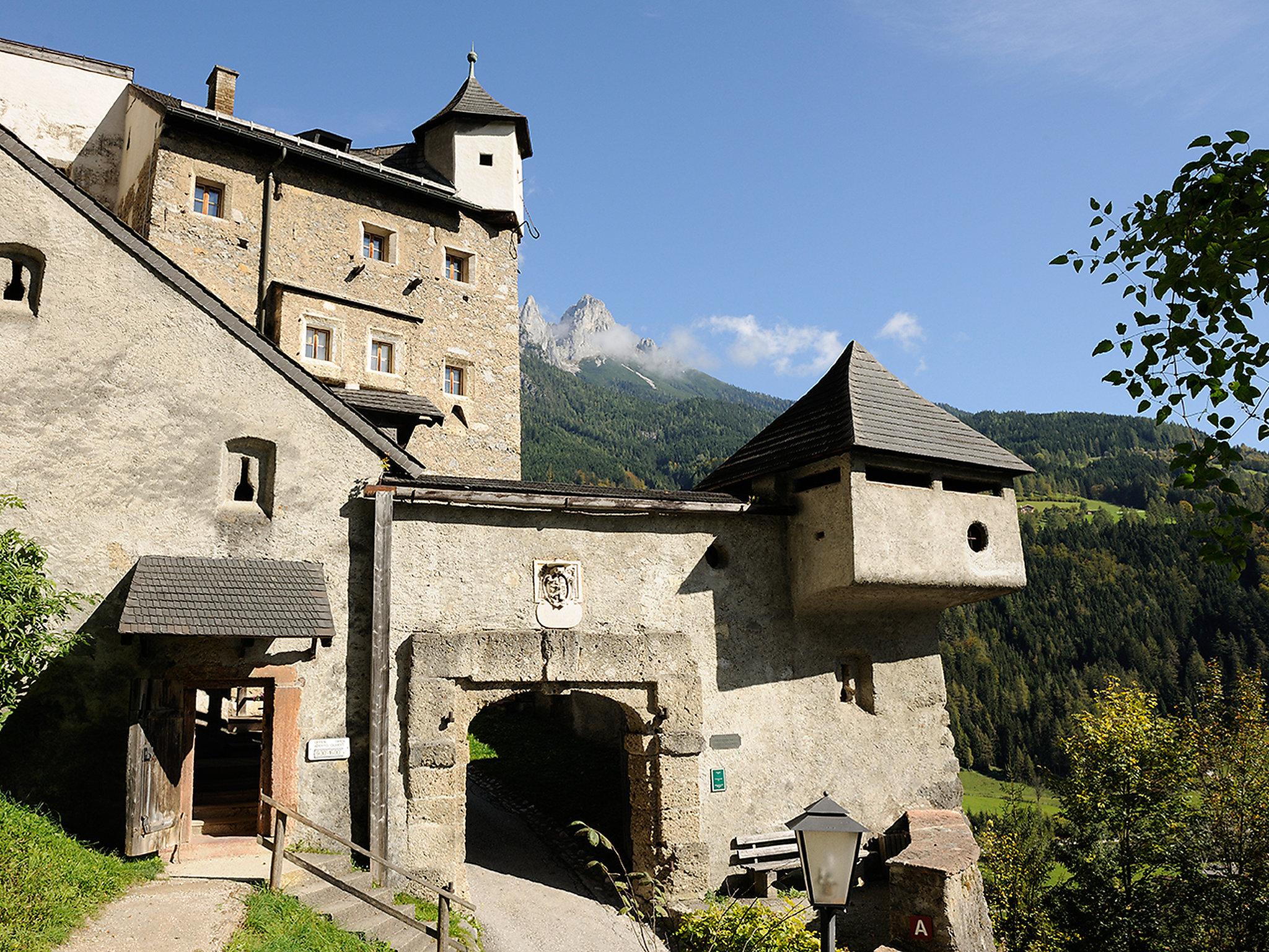 Photo 20 - Appartement de 3 chambres à Werfenweng avec jardin et vues sur la montagne