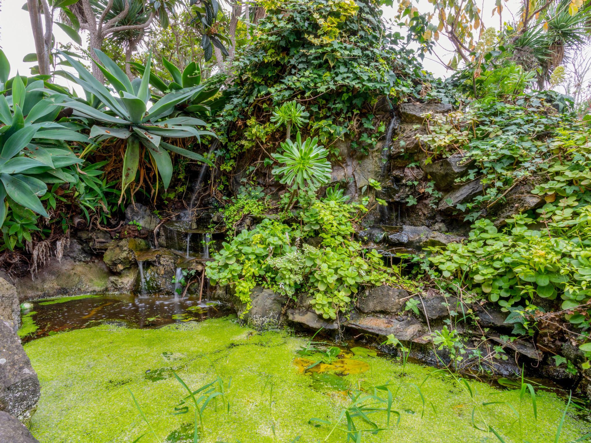 Foto 35 - Casa de 3 quartos em La Orotava com piscina privada e jardim