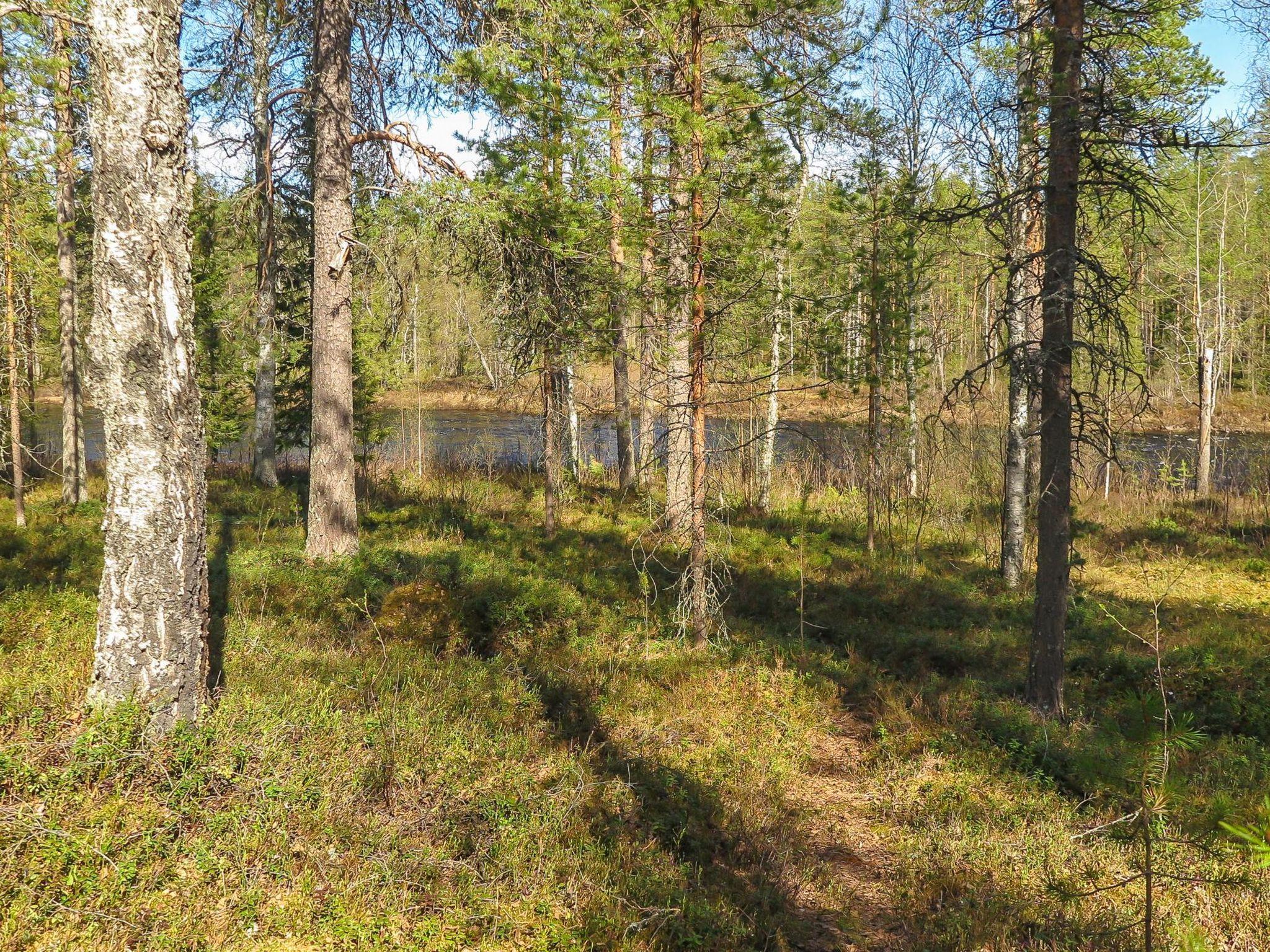 Foto 20 - Casa con 2 camere da letto a Rovaniemi con sauna e vista sulle montagne