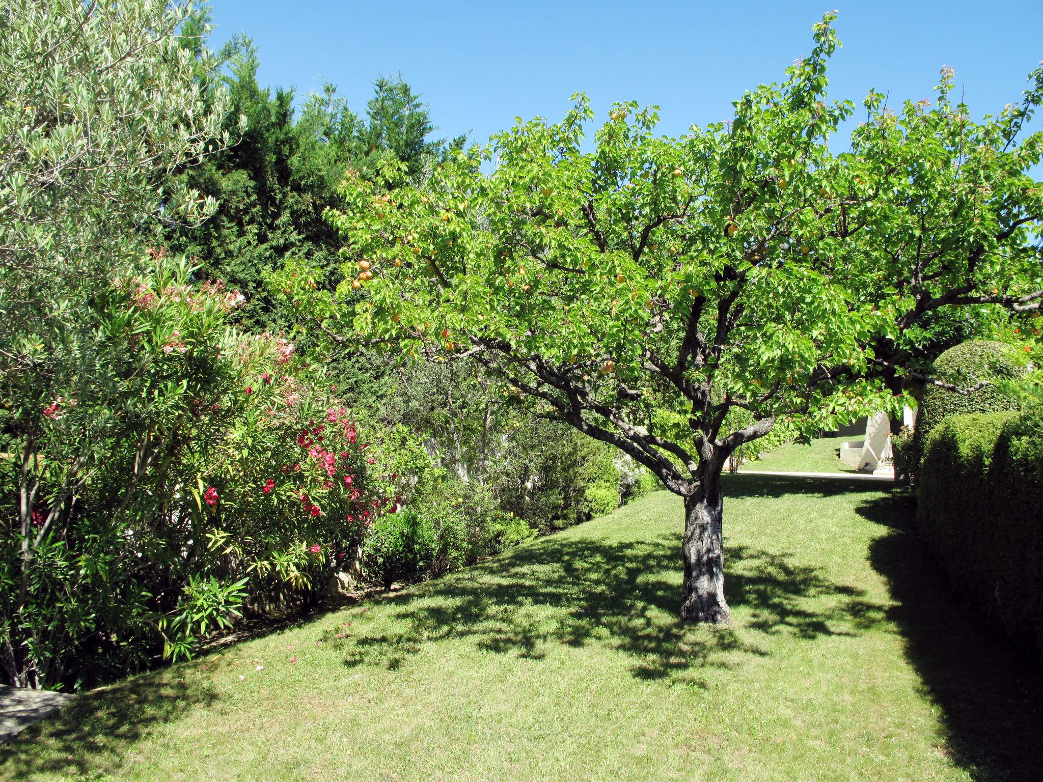 Photo 25 - Maison de 3 chambres à Vinsobres avec piscine privée et jardin