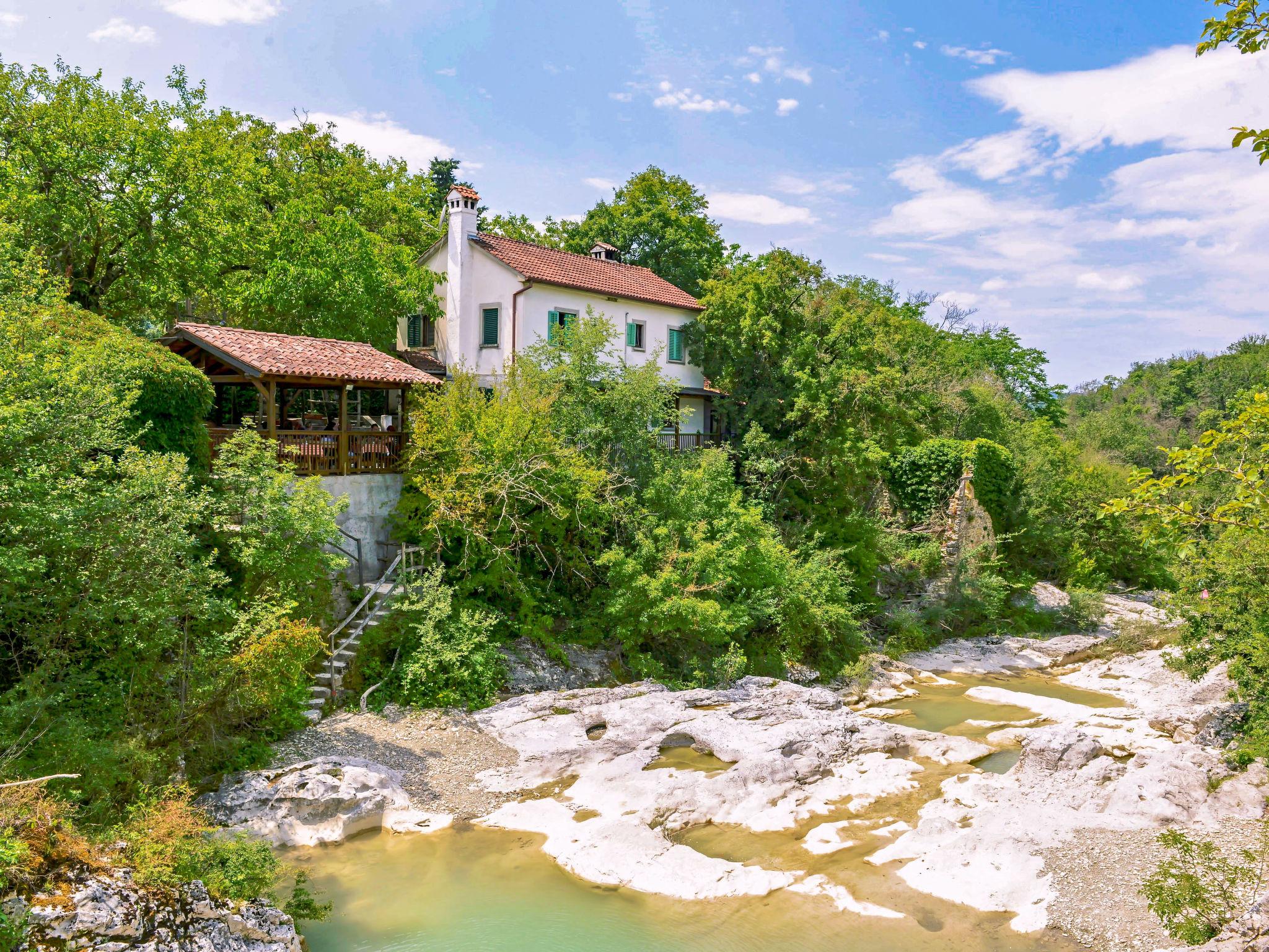 Foto 42 - Casa de 3 quartos em Buzet com jardim e terraço