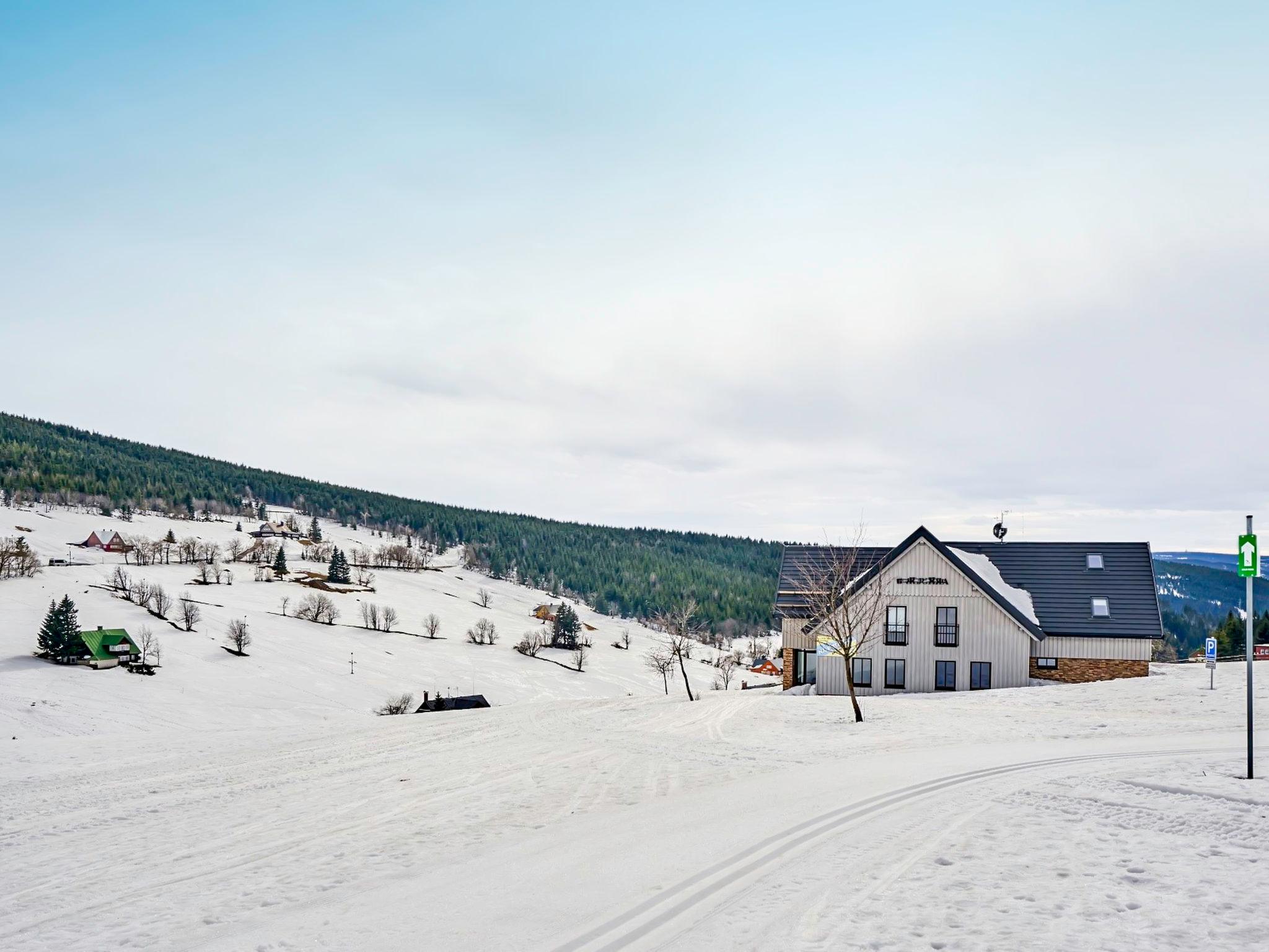 Photo 23 - Appartement en Malá Úpa avec vues sur la montagne