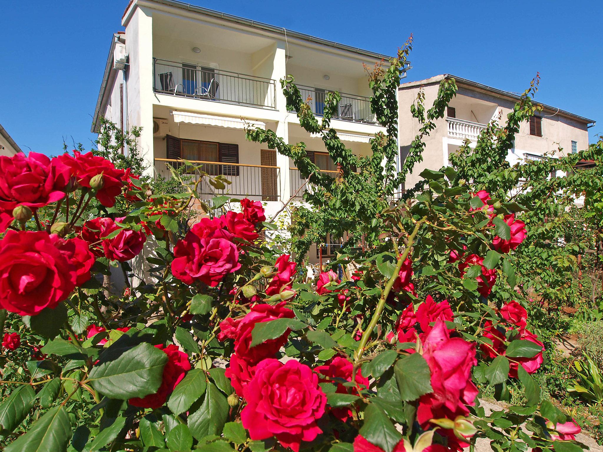 Foto 8 - Appartamento con 1 camera da letto a Tribunj con giardino e terrazza