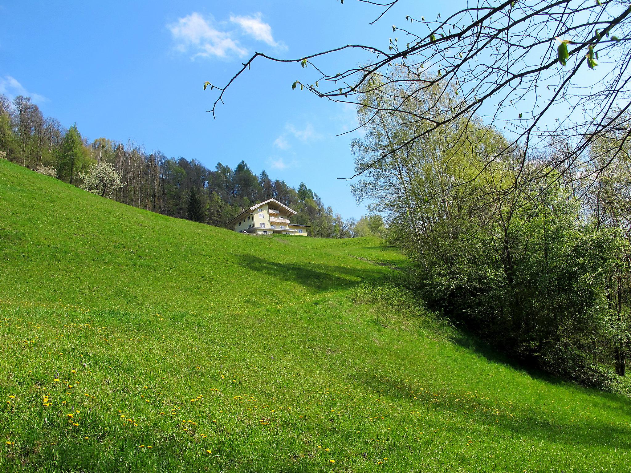 Foto 1 - Appartamento con 2 camere da letto a Goldegg con giardino e vista sulle montagne