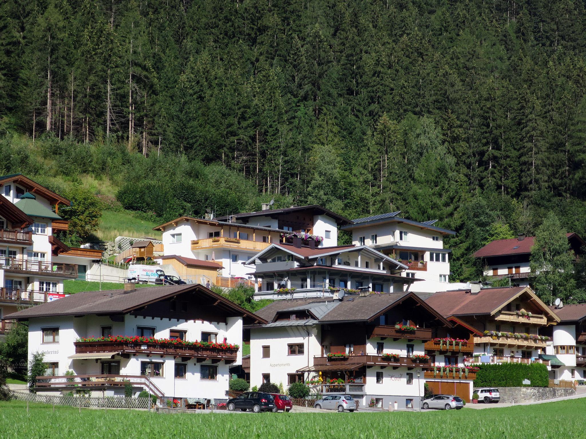 Foto 16 - Apartment mit 3 Schlafzimmern in Schwendau mit terrasse und blick auf die berge