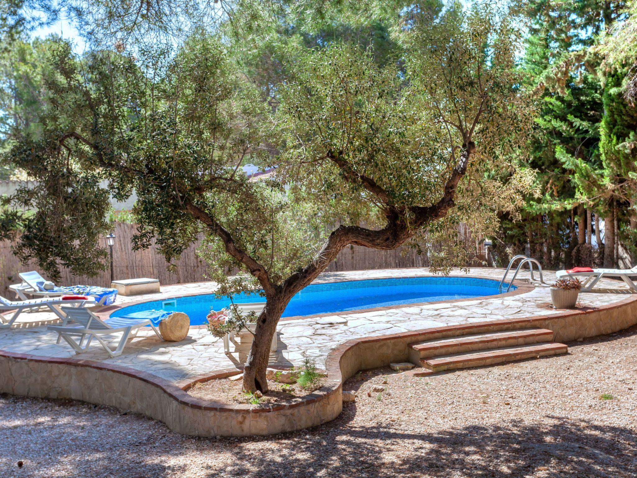 Foto 15 - Casa de 3 quartos em l'Ametlla de Mar com piscina privada e jardim