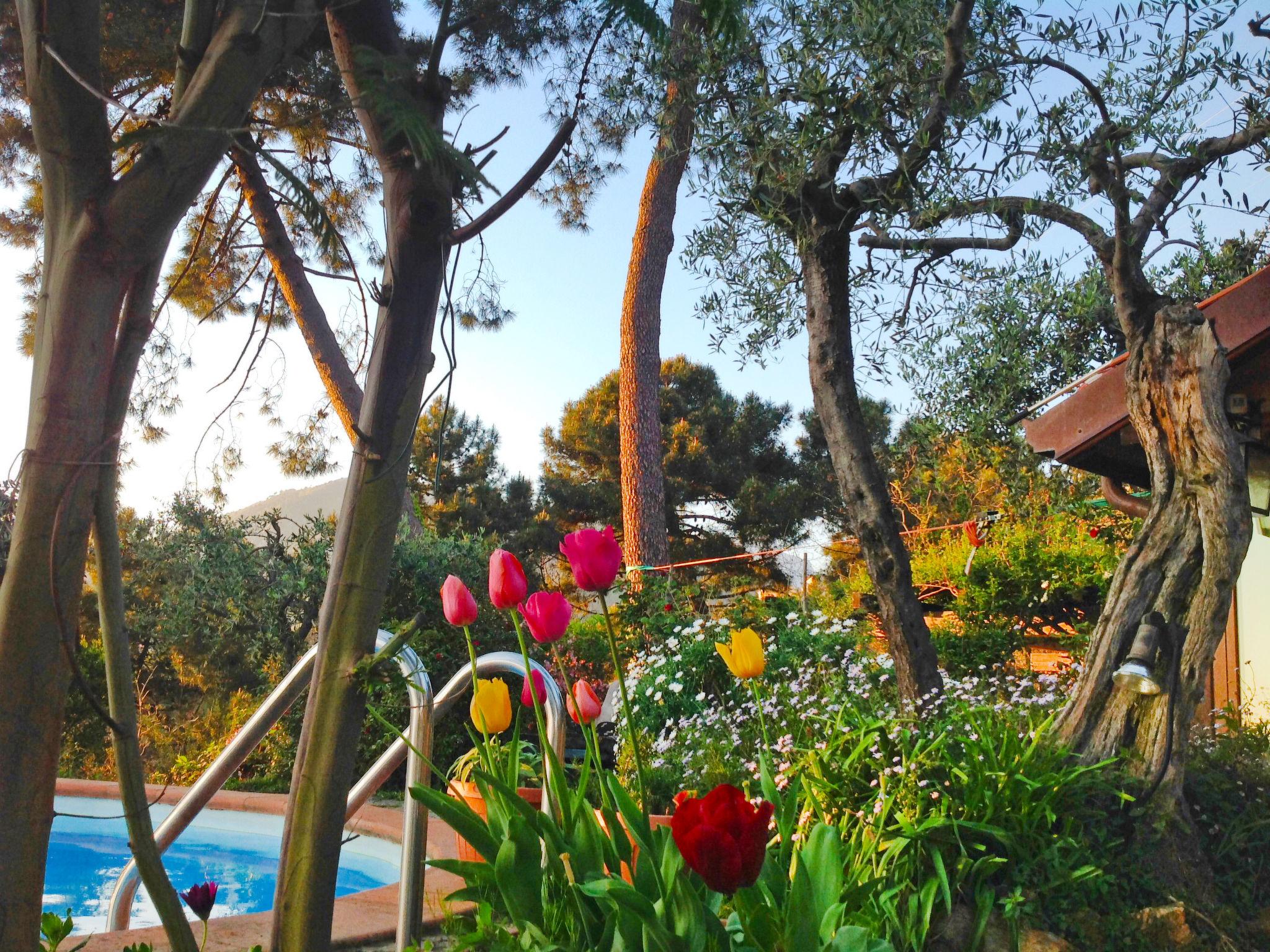 Photo 26 - Maison de 2 chambres à Massa avec piscine privée et jardin