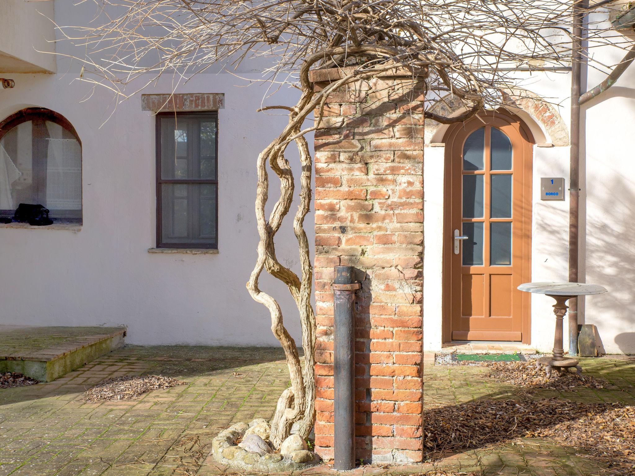 Foto 2 - Casa con 2 camere da letto a Civitella Paganico con piscina e giardino