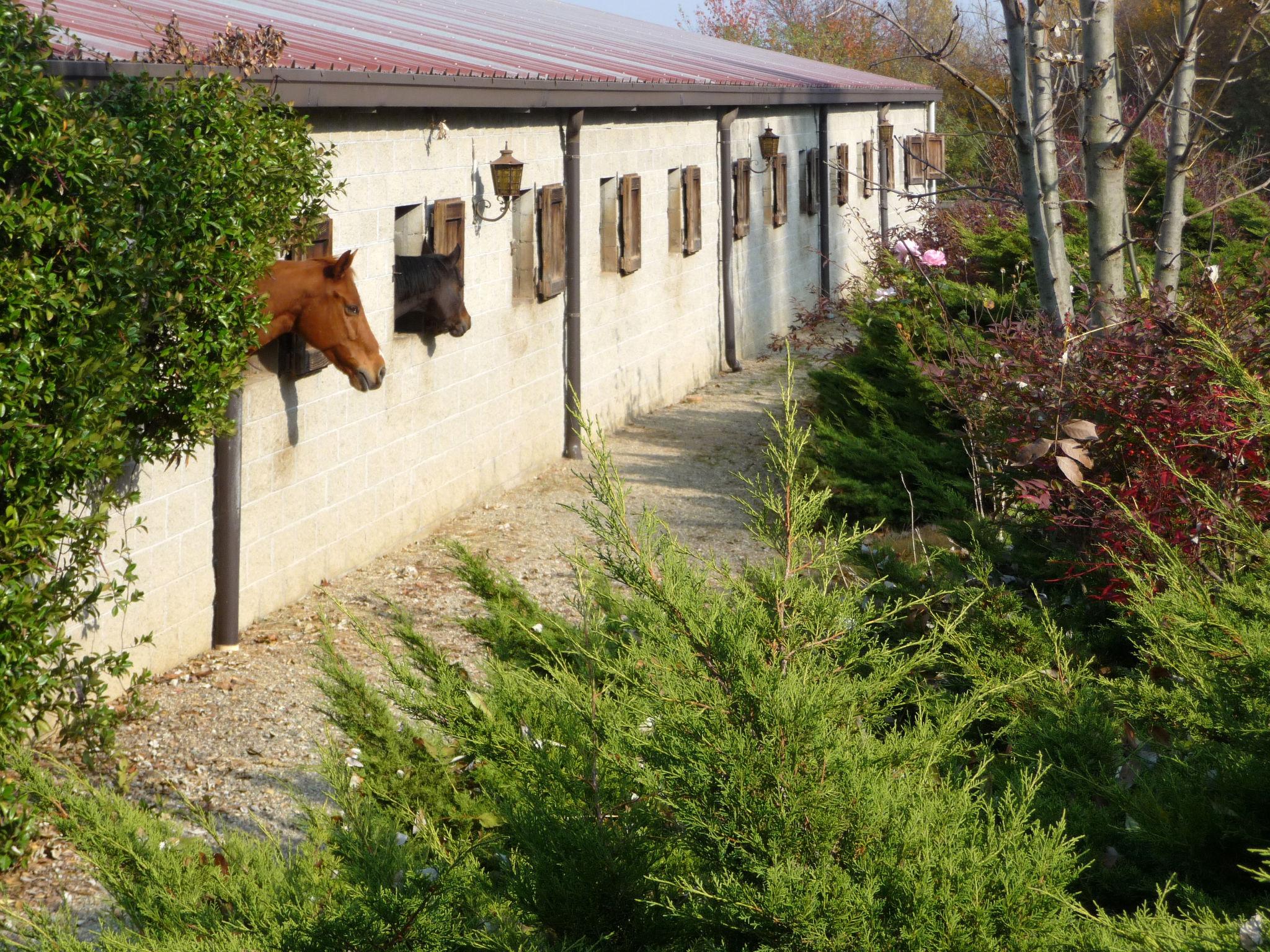 Photo 26 - Maison de 5 chambres à Zubiena avec jardin et vues sur la montagne