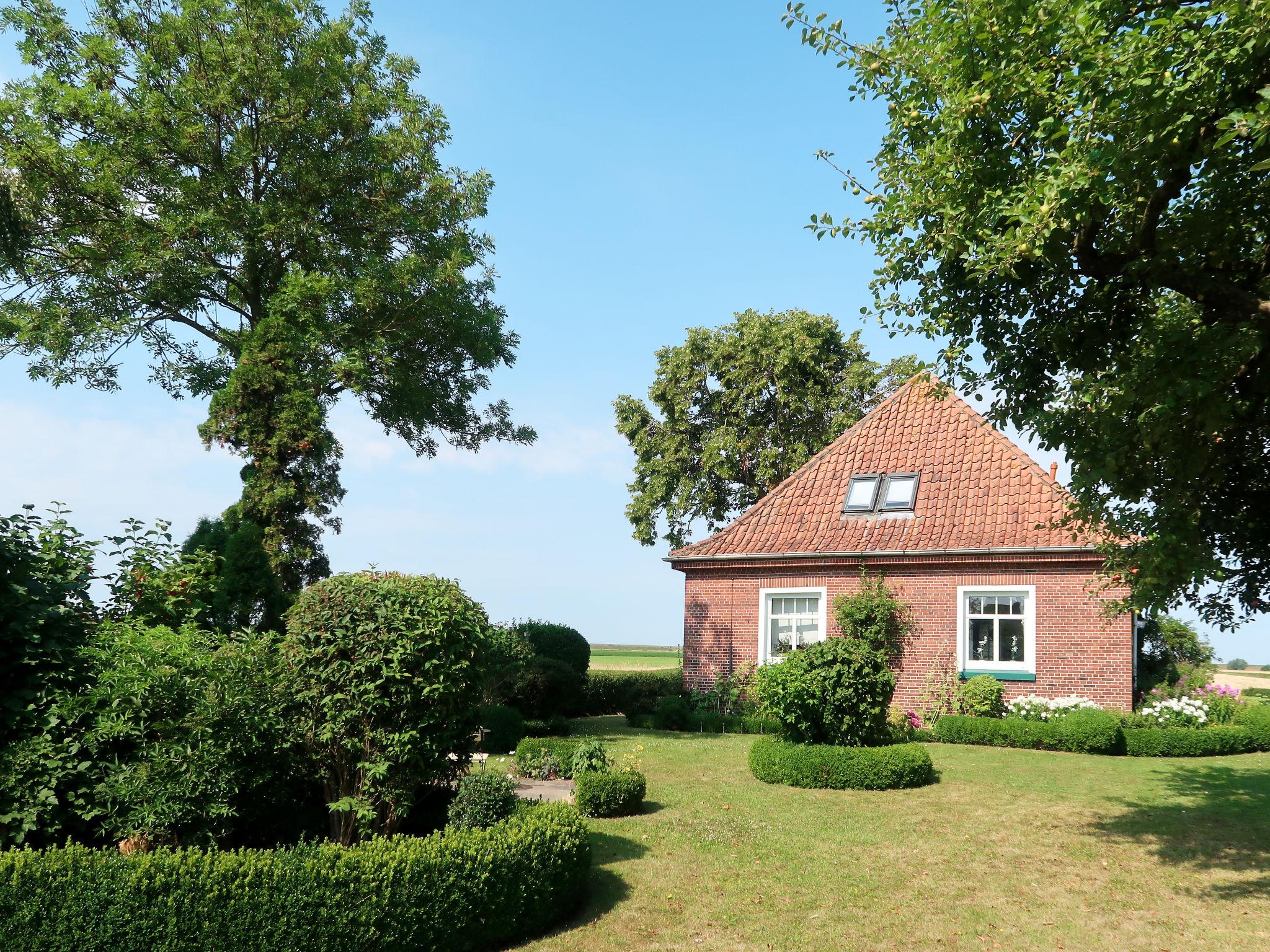 Photo 13 - Appartement en Jemgum avec jardin