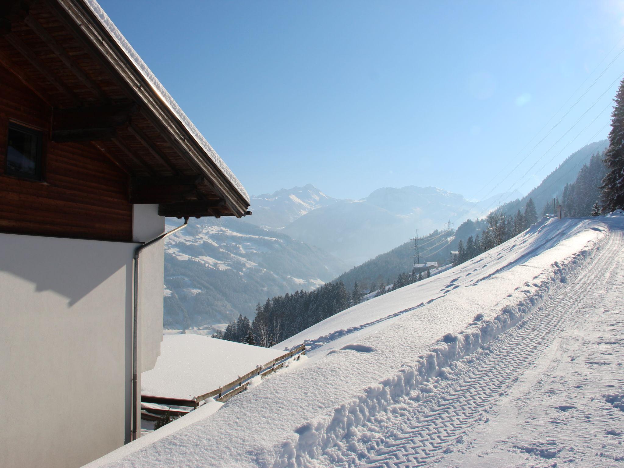 Foto 12 - Appartamento con 2 camere da letto a Aschau im Zillertal con giardino e vista sulle montagne