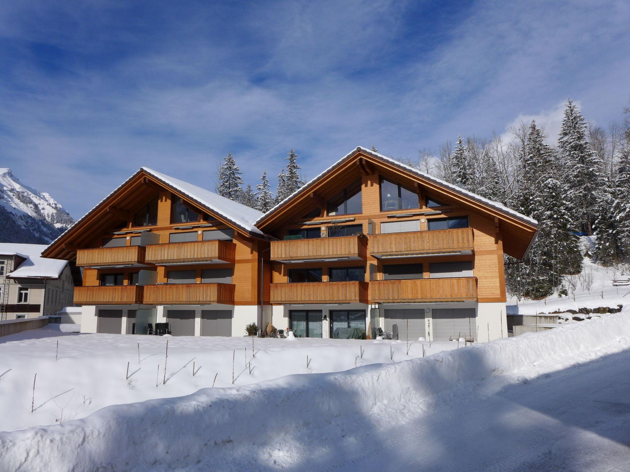 Photo 25 - Appartement de 2 chambres à Kandersteg avec jardin