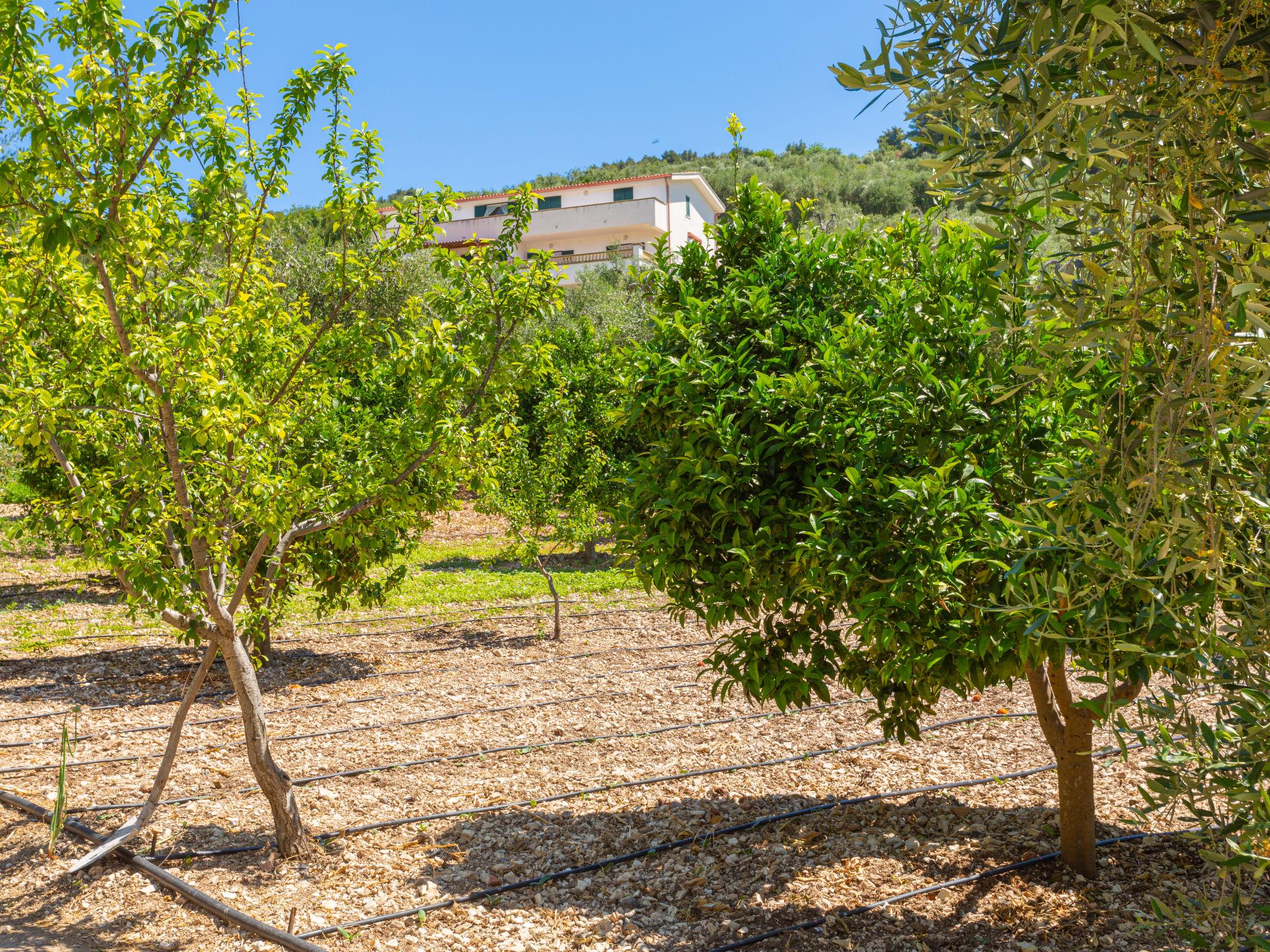 Foto 17 - Appartamento con 3 camere da letto a Peschici con giardino