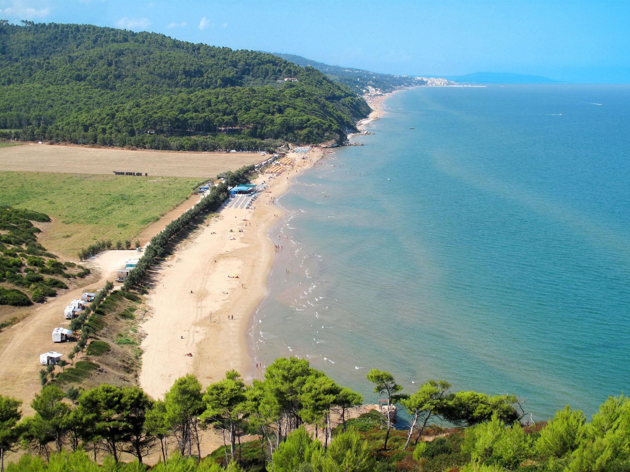 Photo 37 - Maison de 2 chambres à Peschici avec piscine et vues à la mer