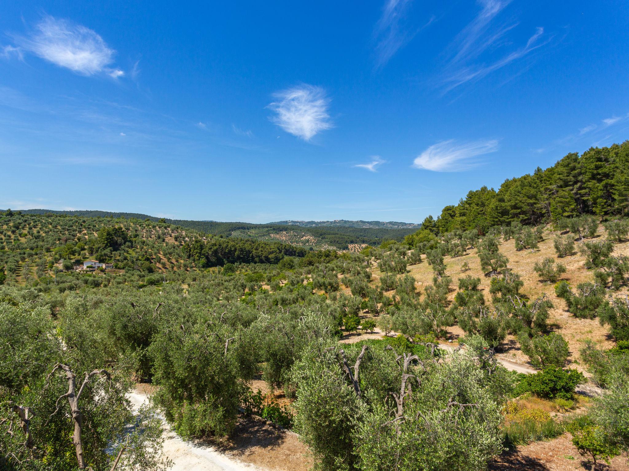 Photo 19 - 1 bedroom Apartment in Peschici with garden and sea view